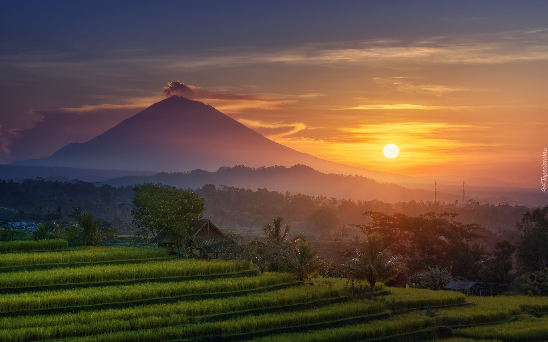 Wulkan Agung, Góry, Pola, Uprawne, Tarasy ryżowe, Drzewa, Mgła, Zachód słońca, Wyspa Bali, Indonezja