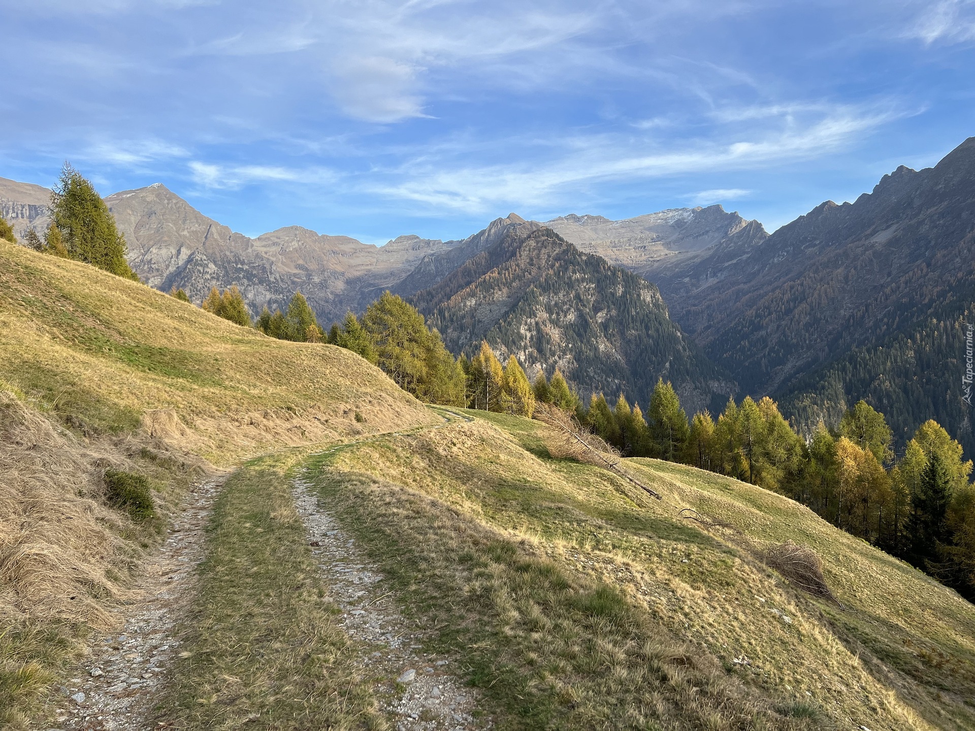 Ścieżka, Drzewa, Góry, Alpy Lepontyńskie, Szwajcaria