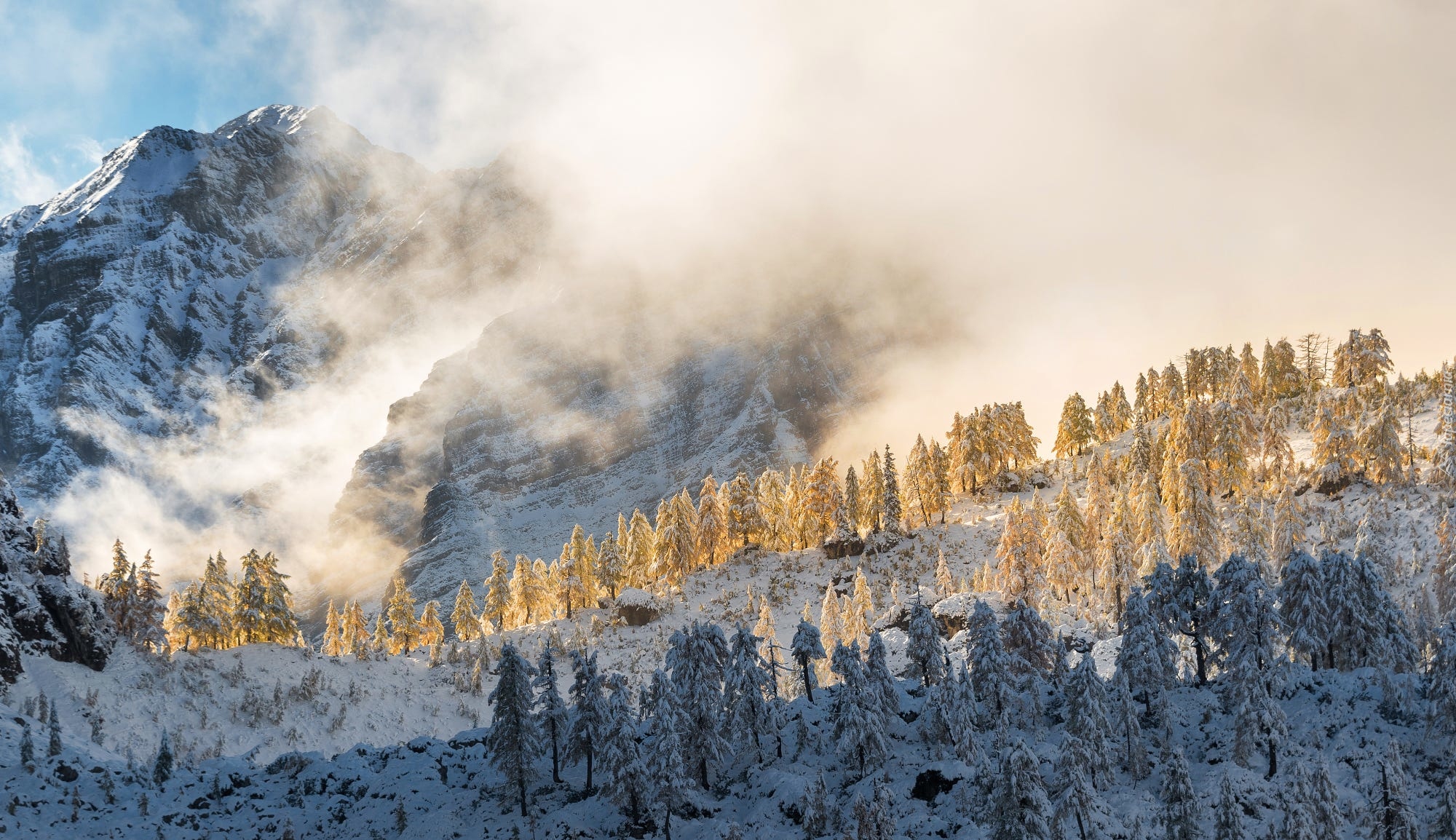 Słowenia, Triglavski Park Narodowy, Zima, Śnieg, Góry, Mgła, Drzewa