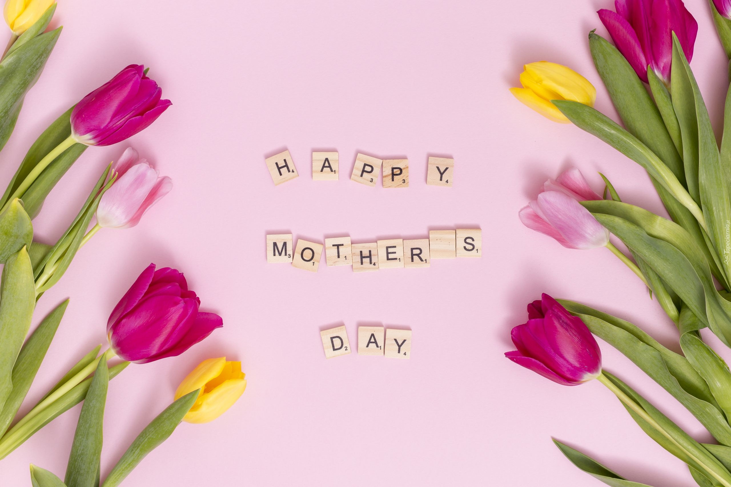 Wiosna, Dzień Matki, Napis, Happy Monters Day, Kwiaty, Tulipany