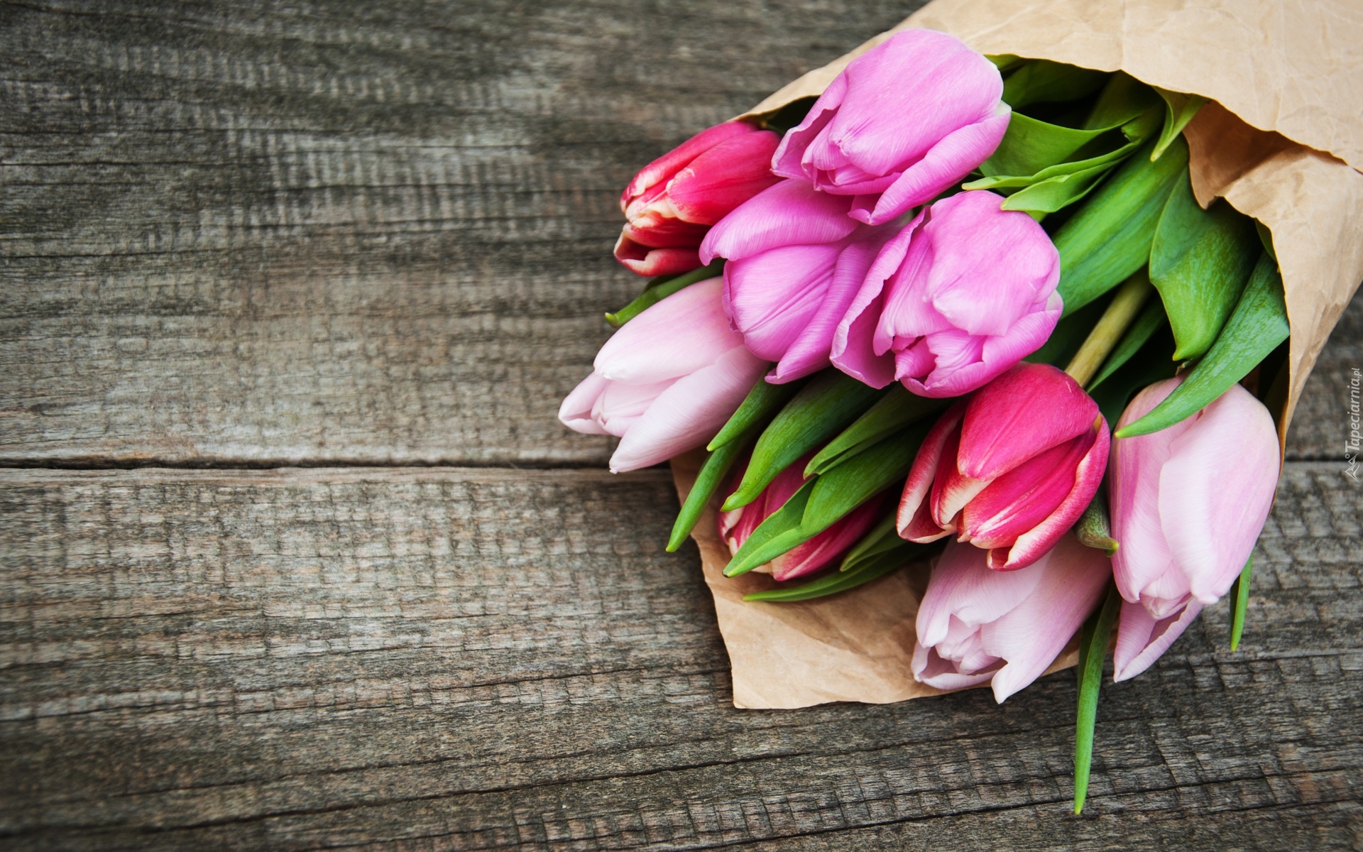 Różowe, Tulipany, Papier