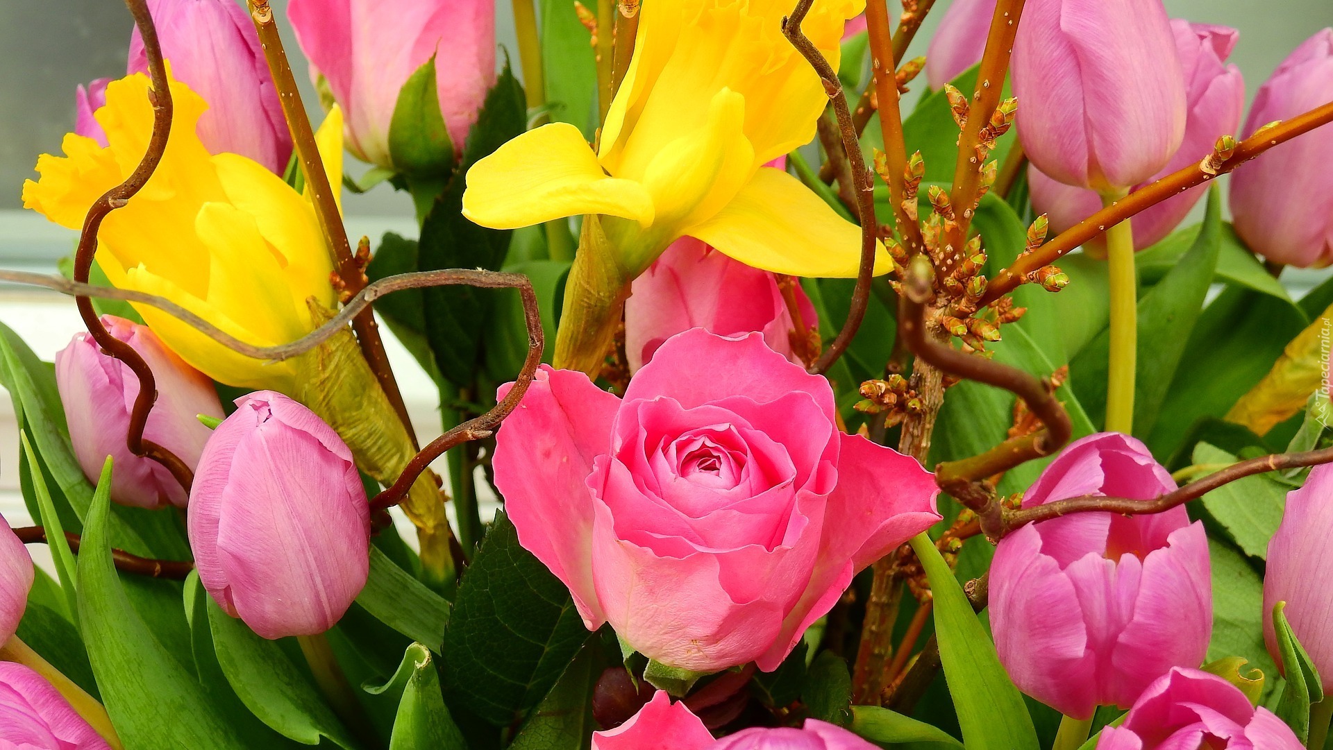 Tulipany, Żonkile, Róża, Bukiet Kwiatów