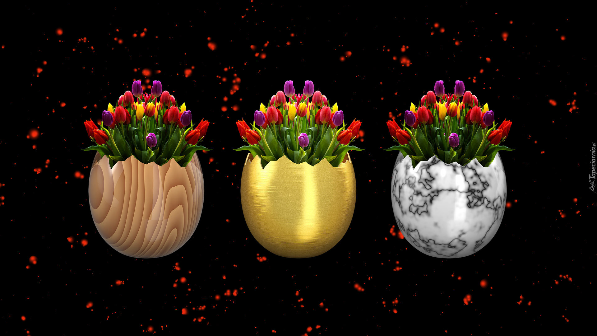Kwiaty, Tulipany, Dekoracja