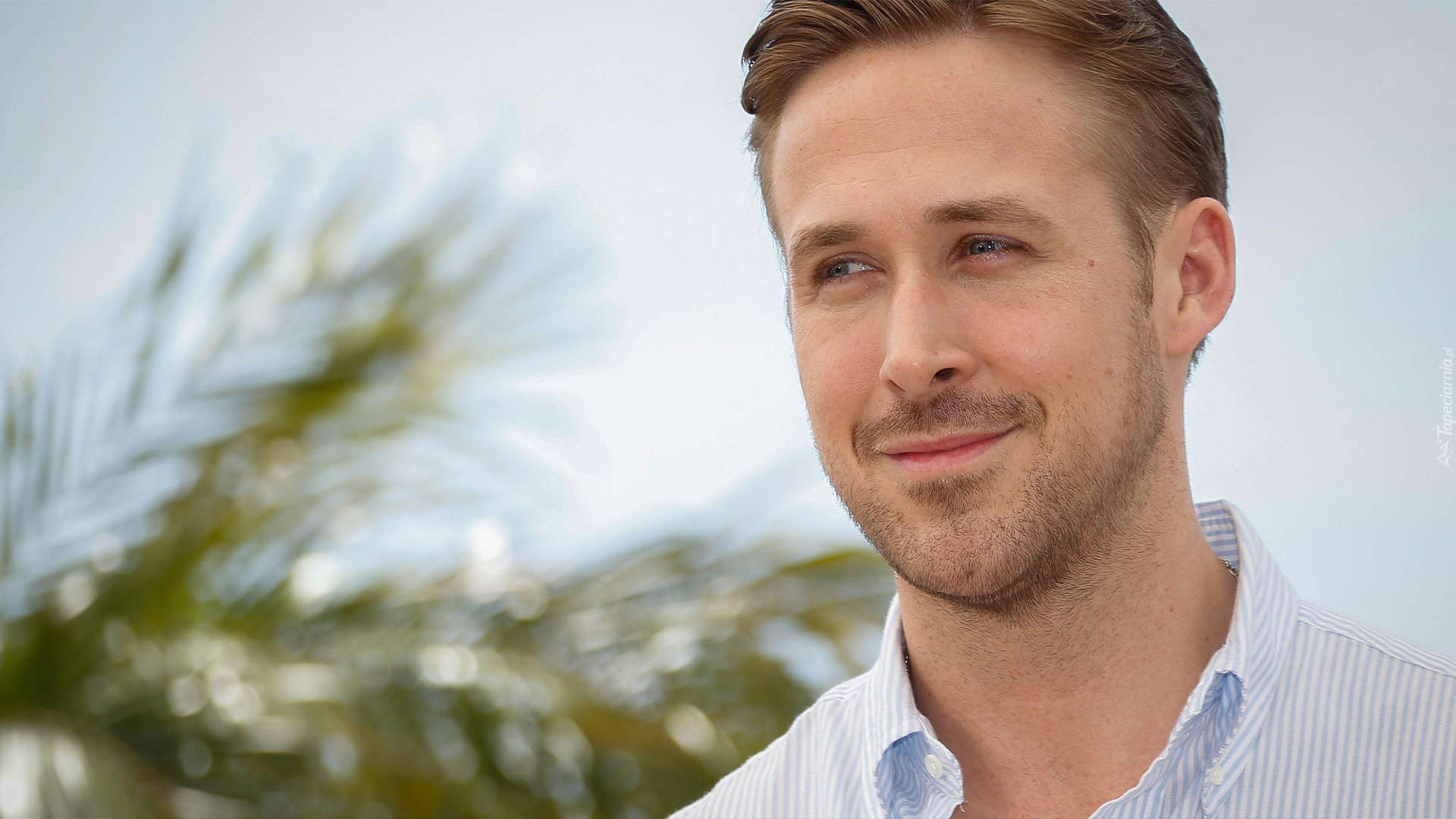 Mężczyzna, Aktor, Ryan Gosling, Uśmiech