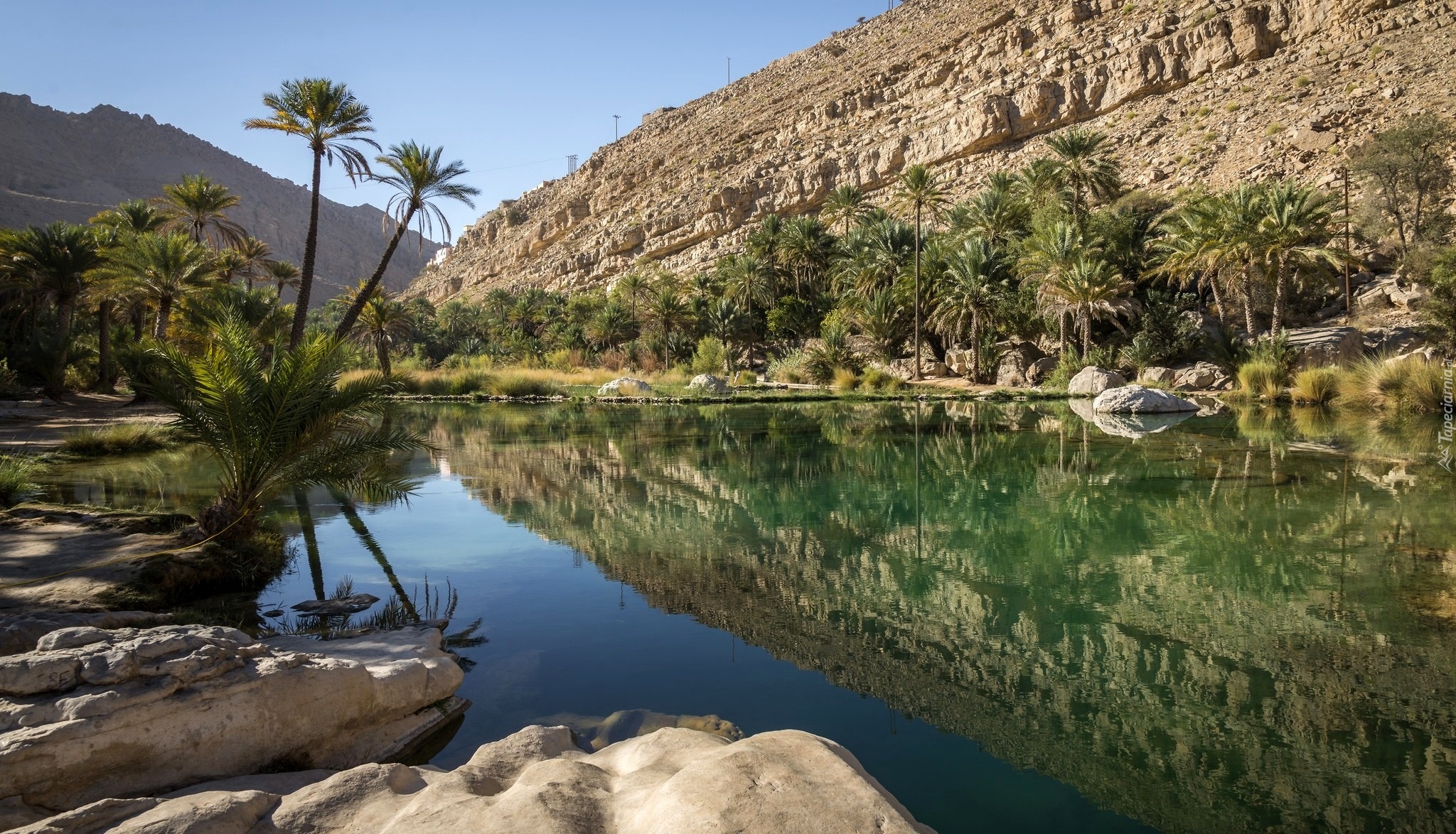 Oman, Wadi Bani Khalid, Staw, Góry, Palmy, Odbicie
