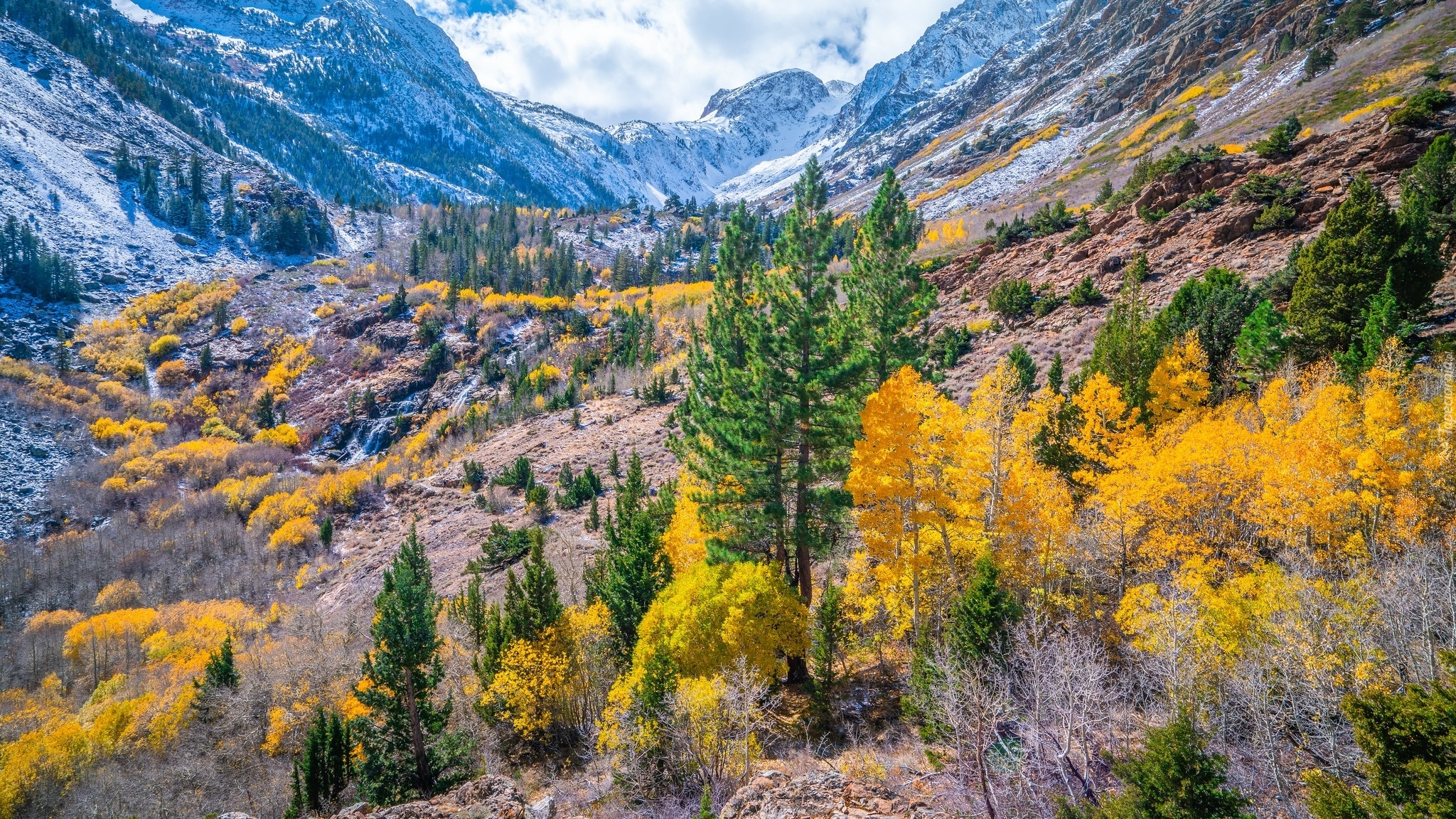 Jesień, Góry, Drzewa, Lasy, Wąwóz, Lundy Canyon, Kalifornia, Stany Zjednoczone