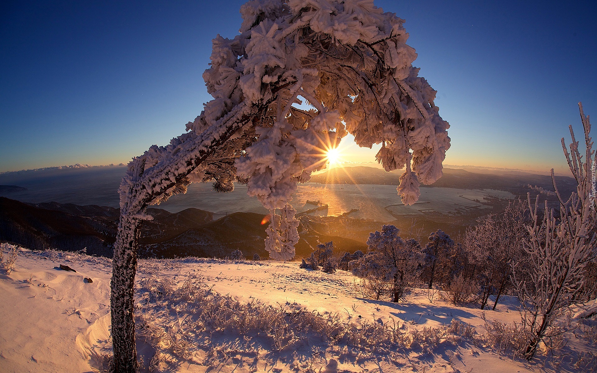 Zima, Wzgórze, Drzewa, Zachód słońca, Promienie słońca