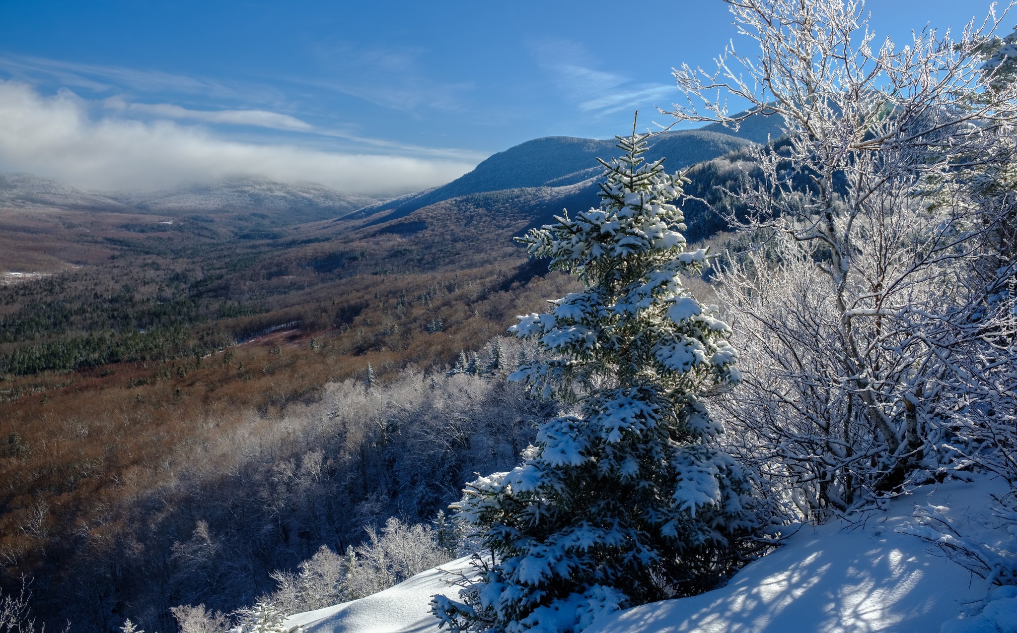 Stany Zjednoczone, Stan New Hampshire, Góry Appalachy, Góry Białe, Zima, Wzgórza, Drzewa, Śnieg, Niebo