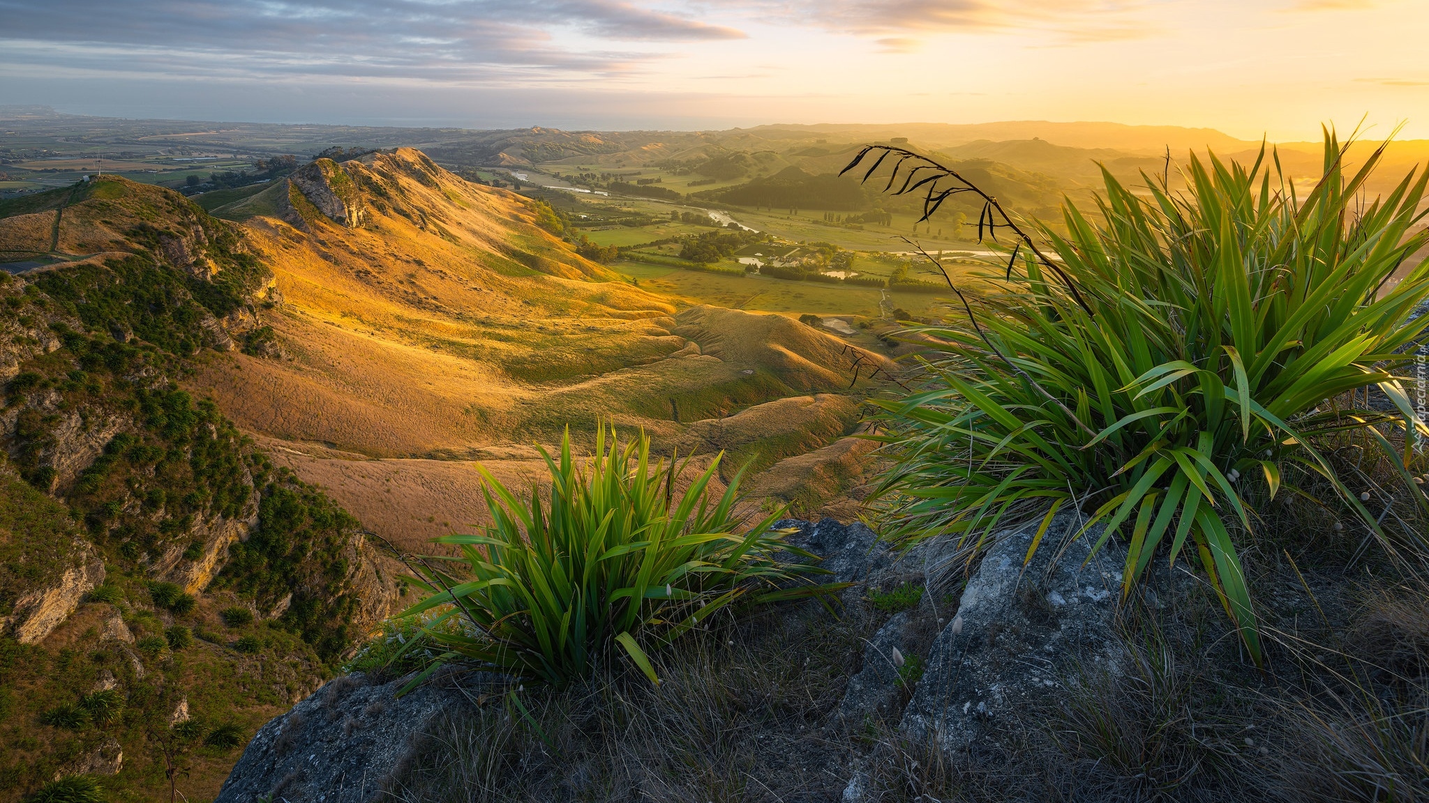 Nowa Zelandia, Region Hawkes Bay, Góry, Te Mata Peak, Wzgórza, Wschód słońca, Dolina, Rośliny