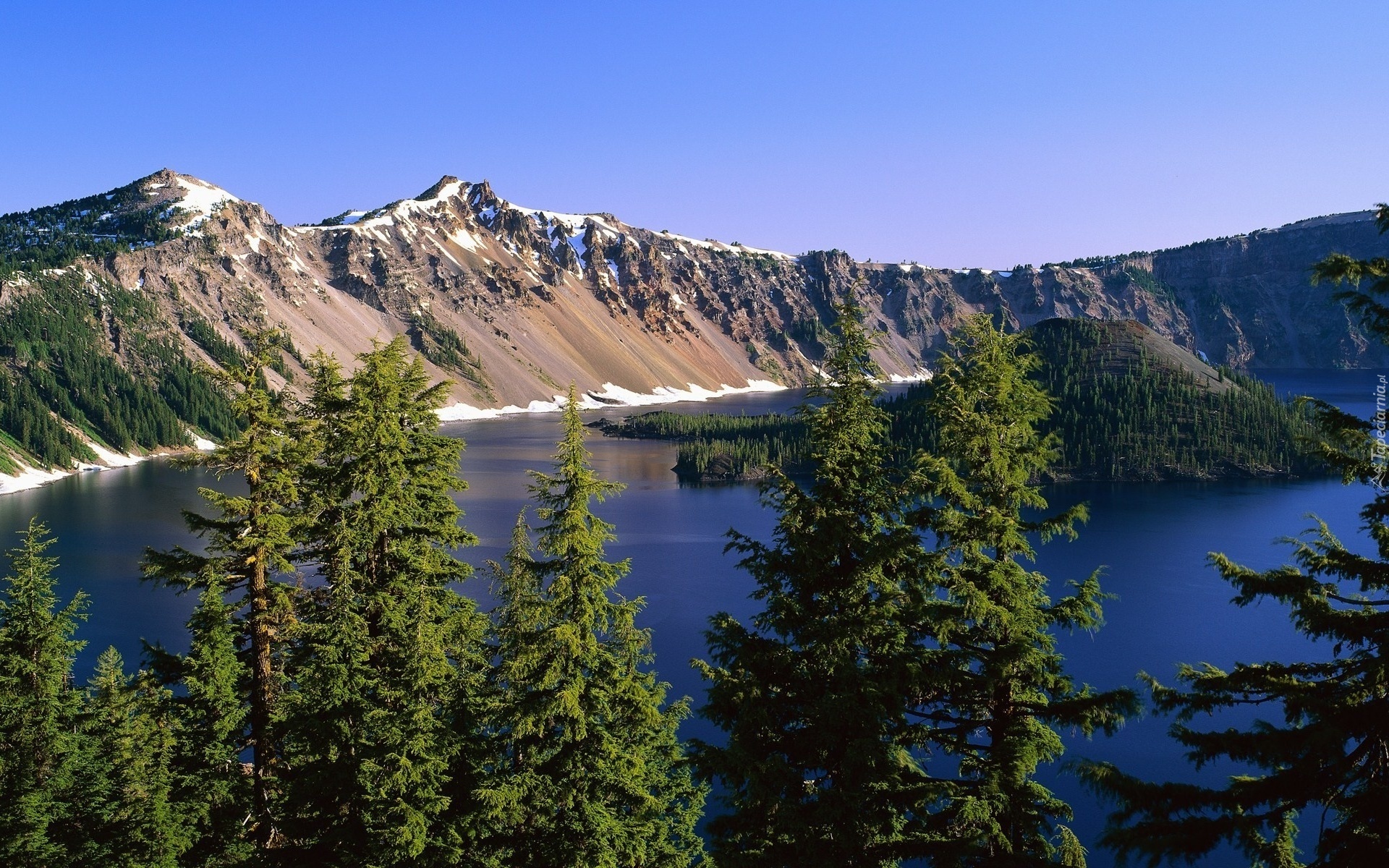Stany Zjednoczone, Oregon, Jezioro Kraterowe, Wyspa Czarodzieja Drzewa