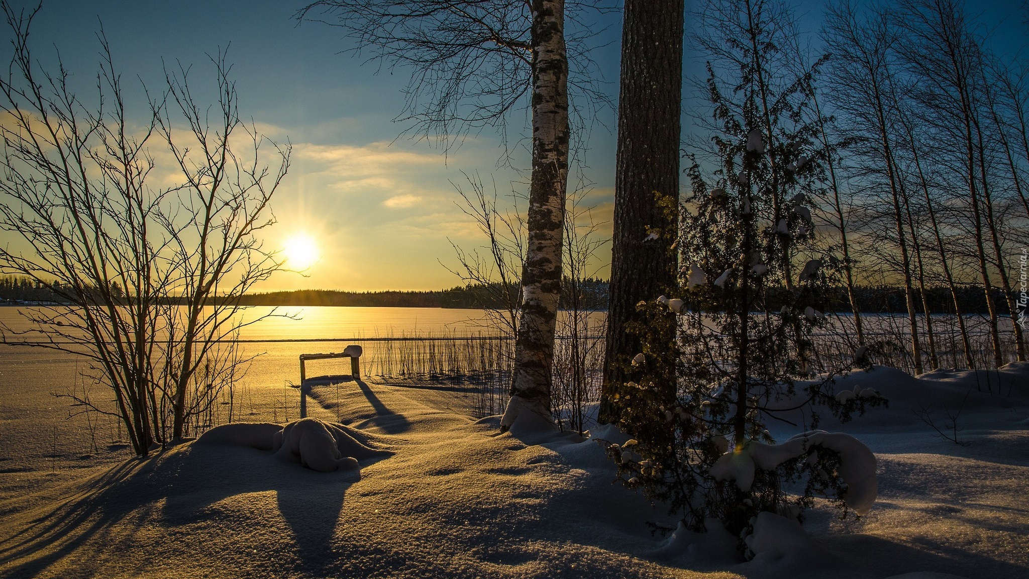 Zima, Drzewa, Jezioro, Słońce, Śnieg