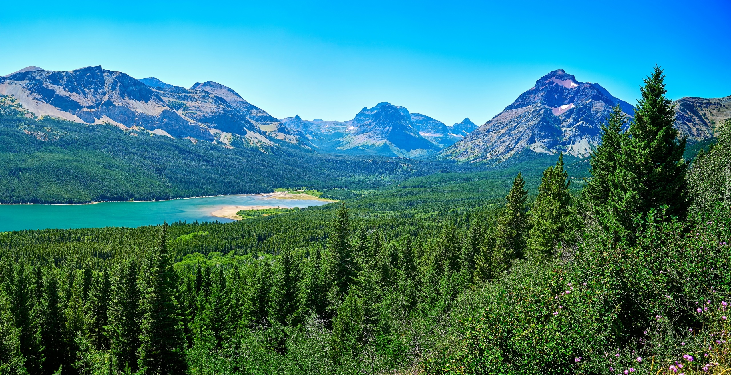 Stany Zjednoczone, Stan Montana, Park Narodowy Glacier, Góry, Jezioro Saint Mary Lake, Drzewa