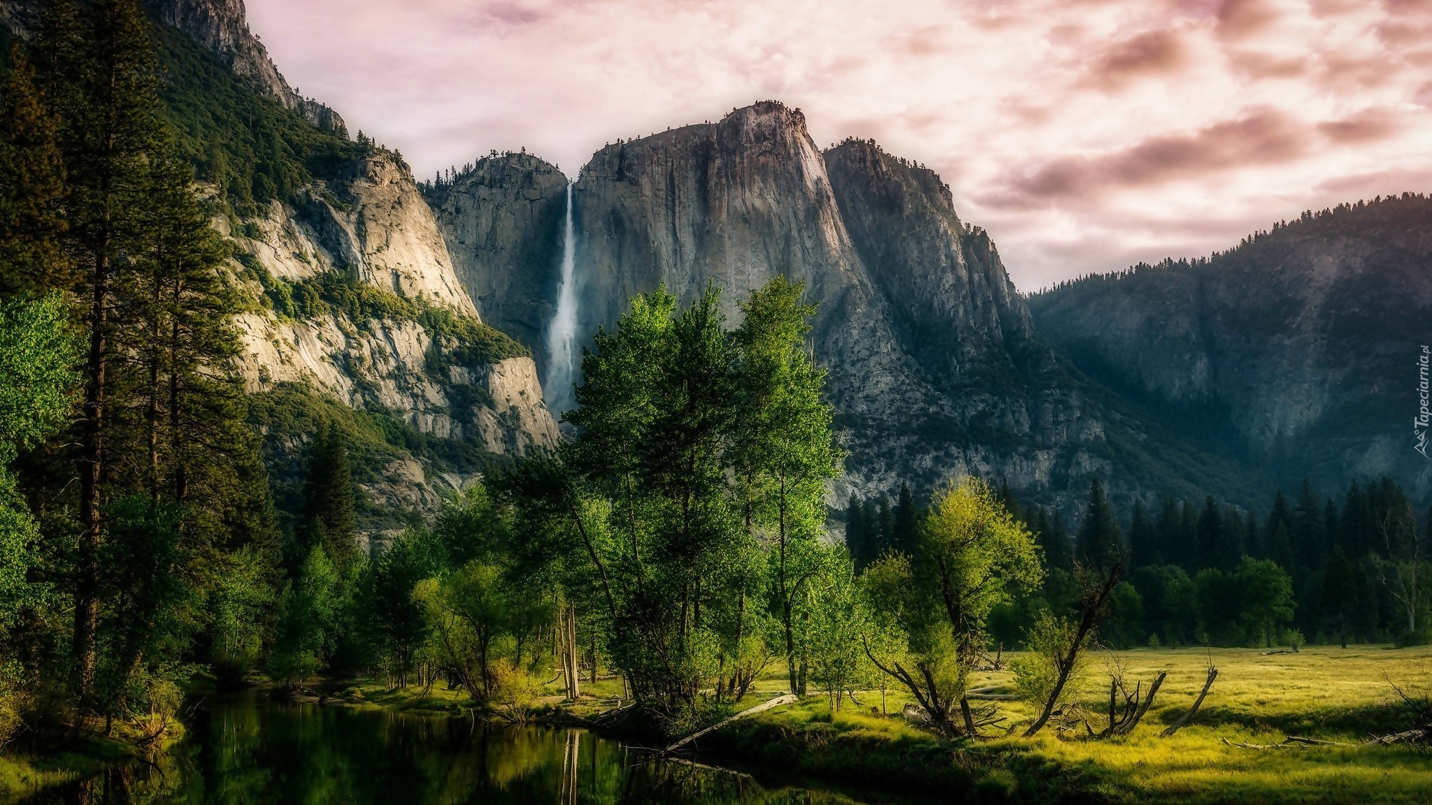 Stany Zjednoczone, Stan Kalifornia, Park Narodowy Yosemite, Góry Sierra Nevada, Wodospad Yosemite, Drzewa