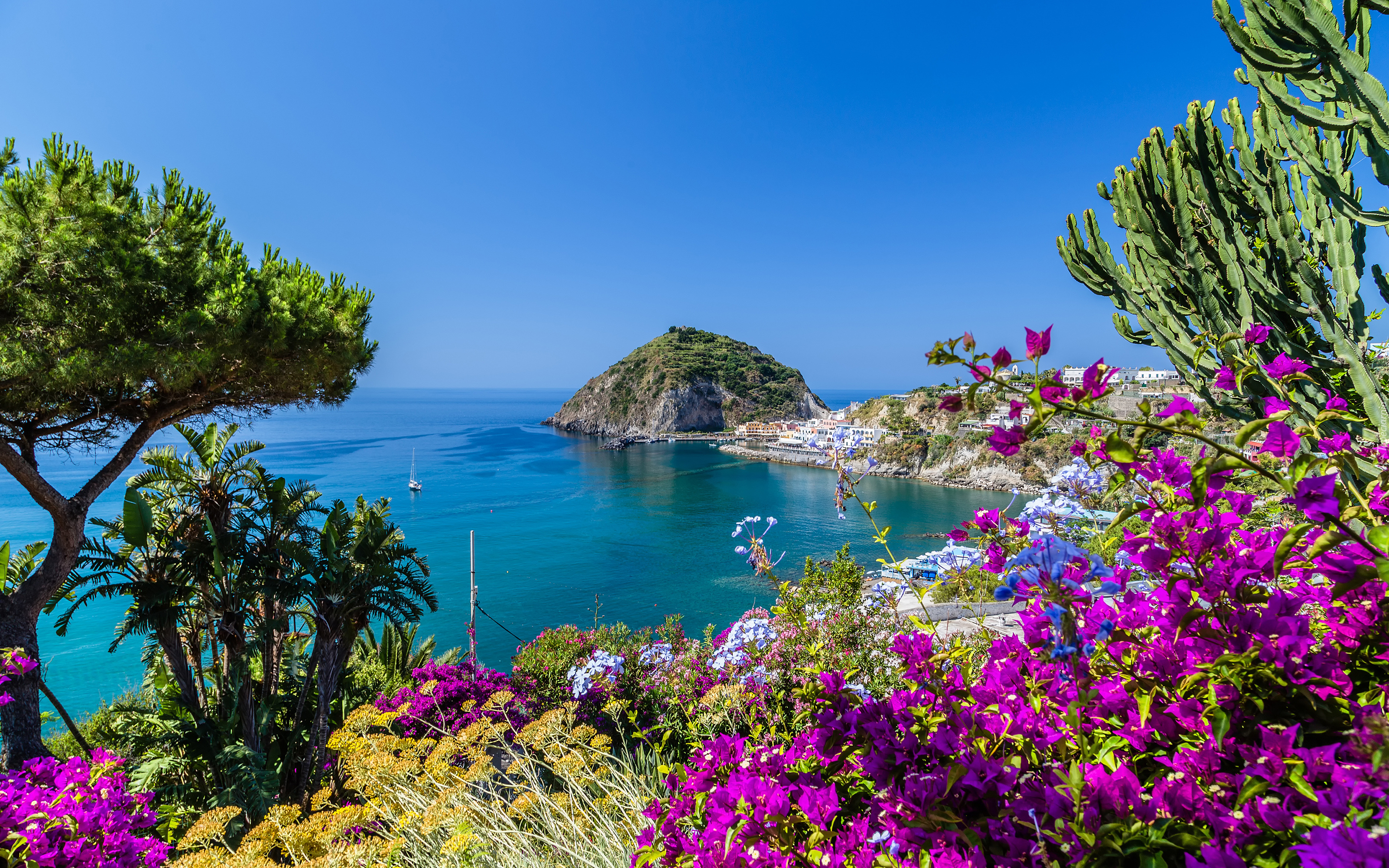 Włochy, Zatoka Neapolitańska, Wyspa Ischia, Wybrzeże, Morze Tyrreńskie, Kwiaty, Roślinność