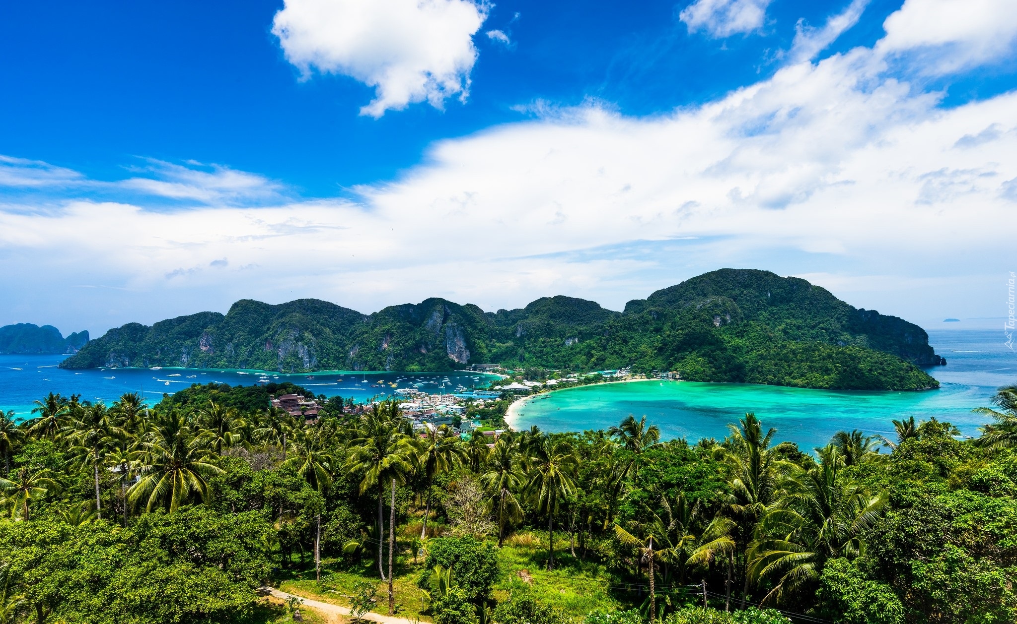 Tajlandia, Wyspa Ko Phi Phi Don, Morze Andamańskie, Plaża, Palmy, Roślinność