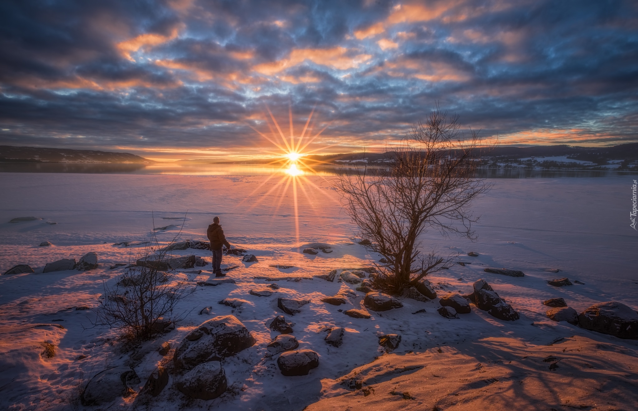 Norwegia, Zima, Jezioro Tyrifjorden, Drzewo,  Promienie słońca, Mężczyzna