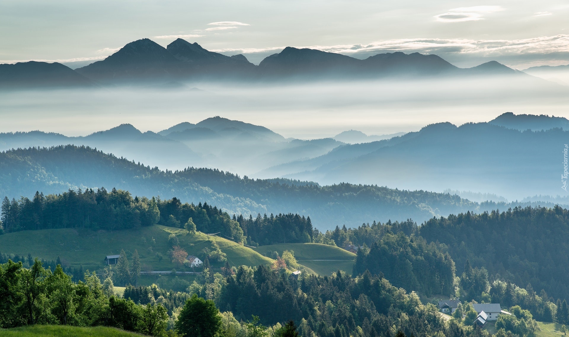 Góry, Alpy Julijskie, Mgła, Lasy, Dolina, Domy, Słowenia