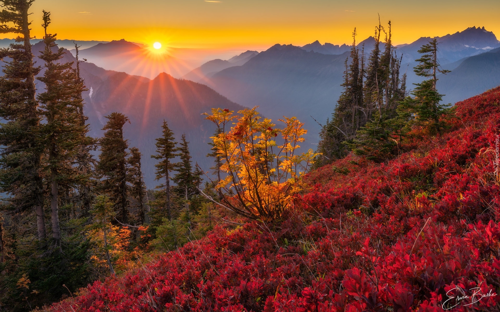 Jesień, Zachód słońca, Promienie, Drzewa, Kolorowa, Roślinność, Góry Kaskadowe, Stan Wyszyngton, Stany Zjednoczone