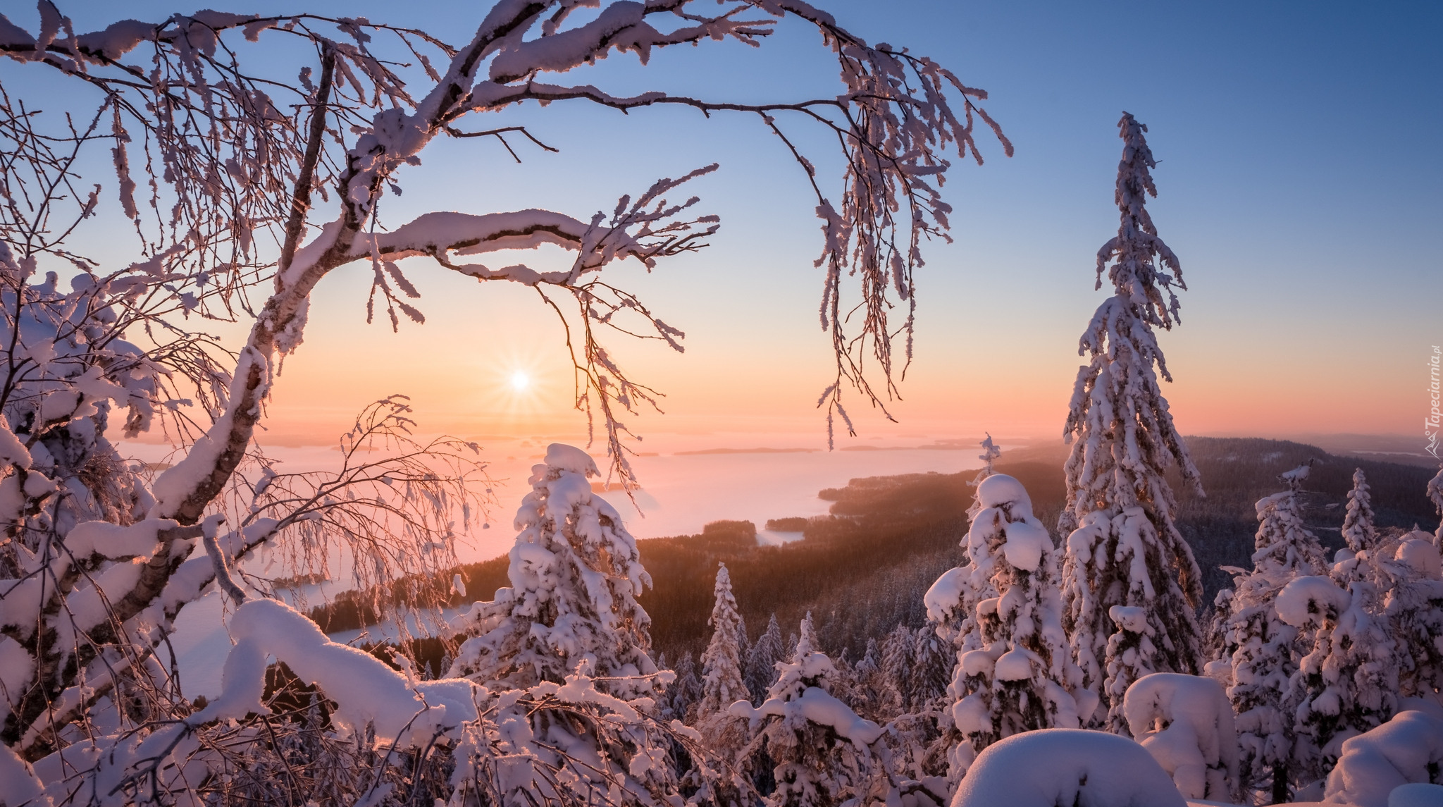 Finlandia, Region Karelia Północna, Park Narodowy Koli, Jezioro Pielinen, Zima, Drzewa, Promienie słońca, Mgła