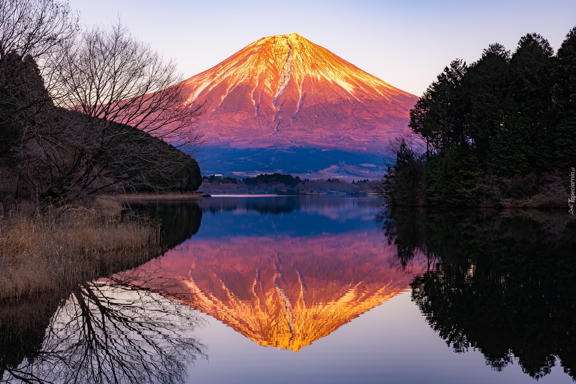 Jezioro, Lake Tanuki, Wulkan, Góra, Fudżi, Japonia