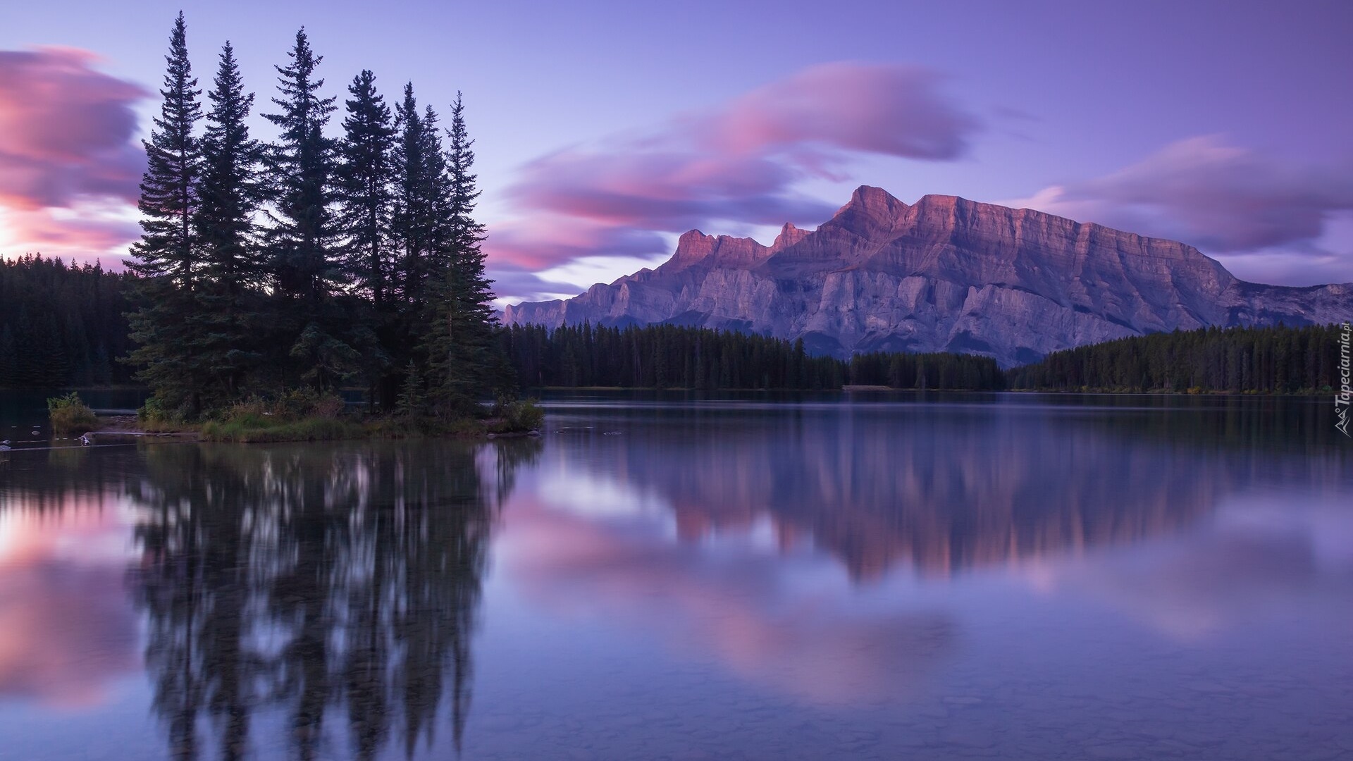 Jezioro, Two Jack Lake, Góry Skaliste, Góra Mount Rundle, Park Narodowy Banff, Drzewa, Odbicie, Alberta, Kanada
