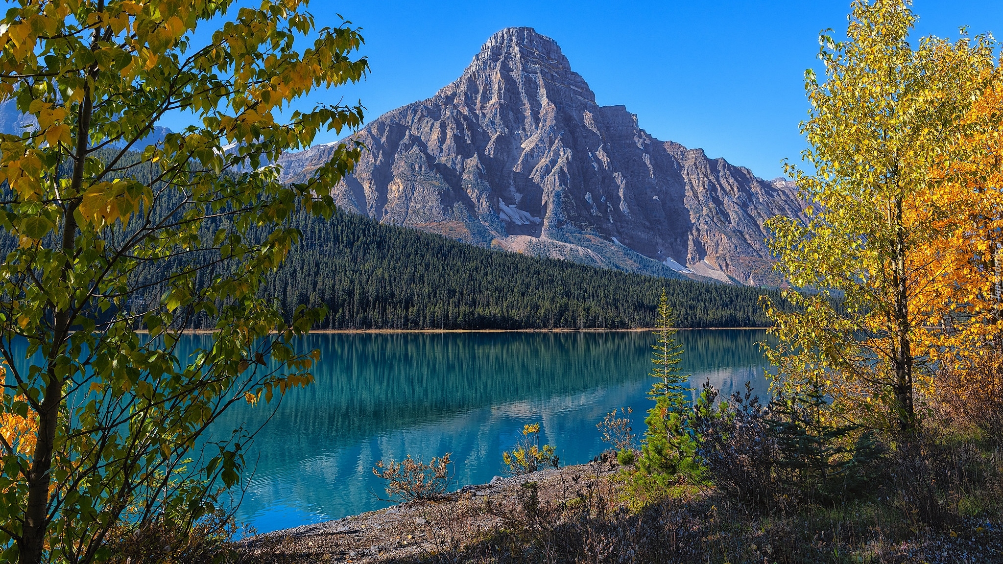 Kanada, Prowincja Alberta, Park Narodowy Banff, Jezioro, Waterfowl Lake, Góra, Mount Chephren, Drzewa