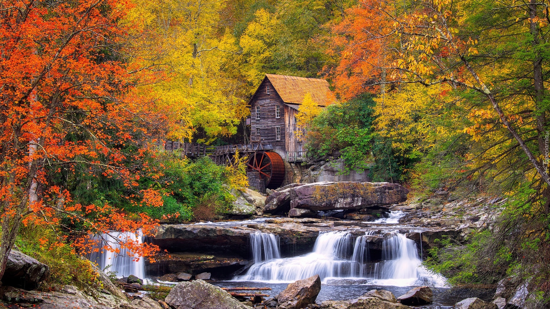Jesień, Drzewa, Rzeka, Skały, Młyn wodny, Glade Creek Grist Mill, Park Babcock State, Wirginia Zachodnia, Stany Zjednoczone