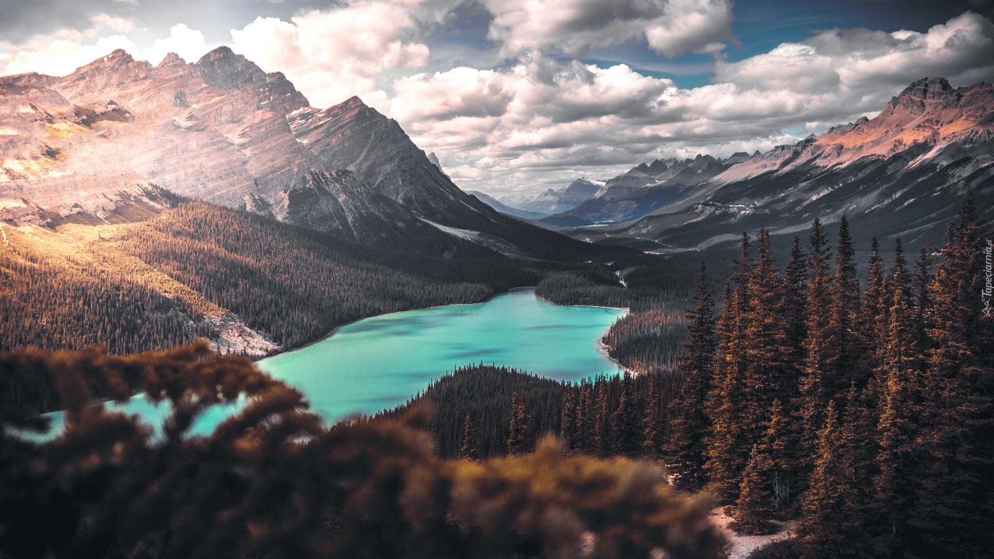 Park Narodowy Banff, Jezioro, Peyto Lake, Góry Skaliste, Lasy, Drzewa, Chmury, Alberta, Kanada