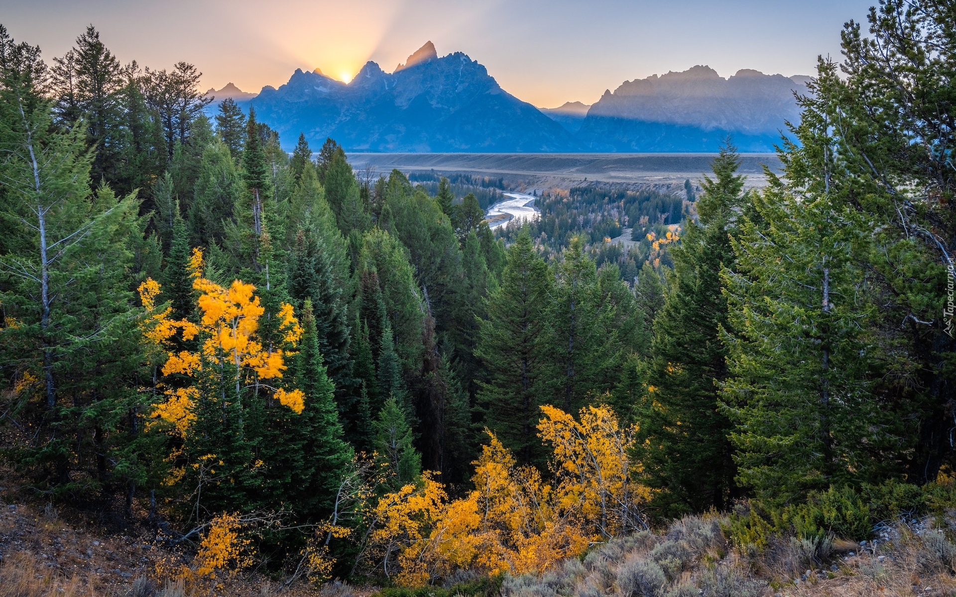Góry, Teton Range, Rzeka, Snake River, Drzewa, Park Narodowy Grand Teton, Stan Wyoming, Stany Zjednoczone