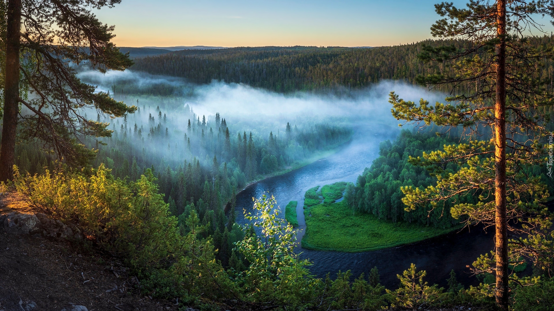 Las, Rzeka Kitkajoki, Mgła, Drzewa, Sosny, Gmina Kuusamo, Finlandia