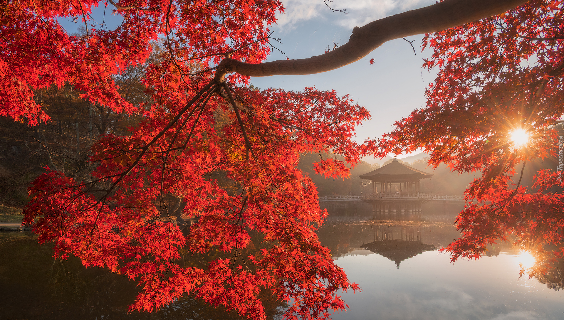 Jesień, Staw, Sagiike, Drzewo, Gałęzie, Czerwone, Liście, Altana, Pawilon Ukimido, Promienie słońca, Nara Park, Nara, Japonia