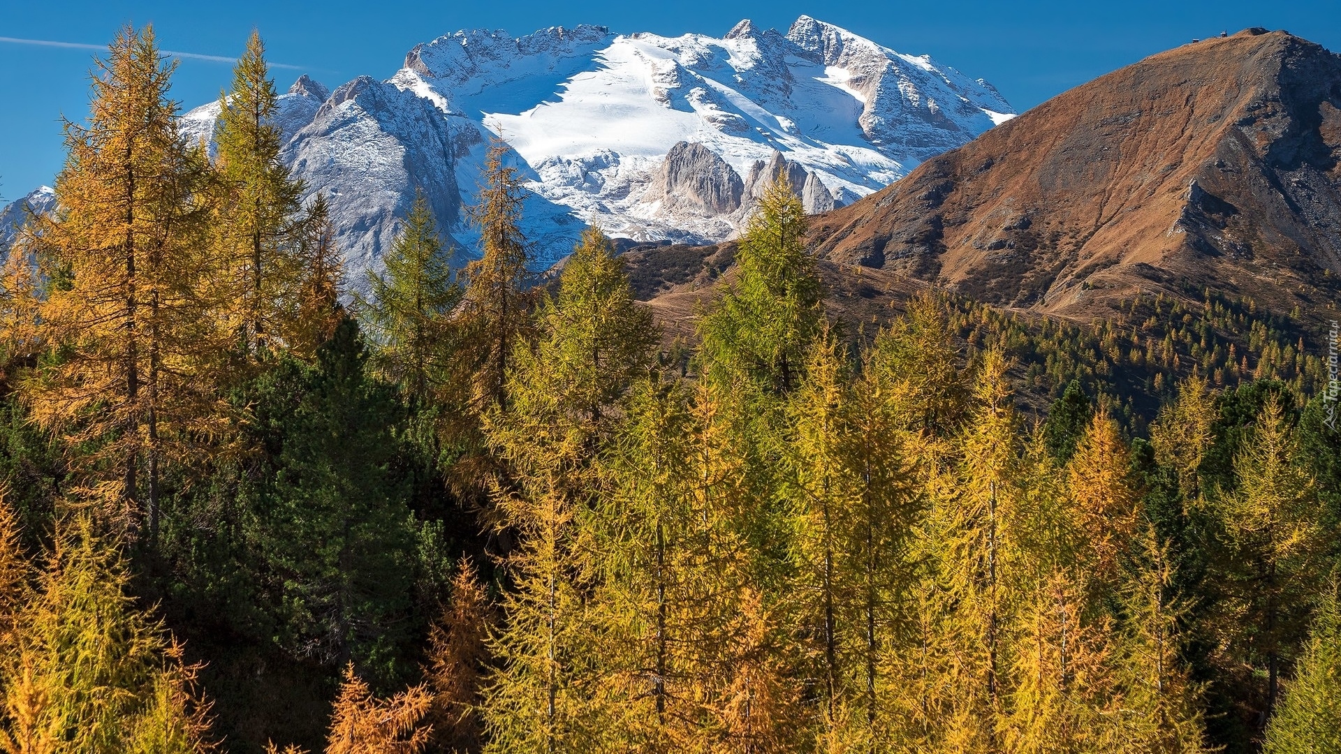 Jesień, Góry Marmolada, Lodowiec, Marmolada Glacier, Żółte, Drzewa, Włochy