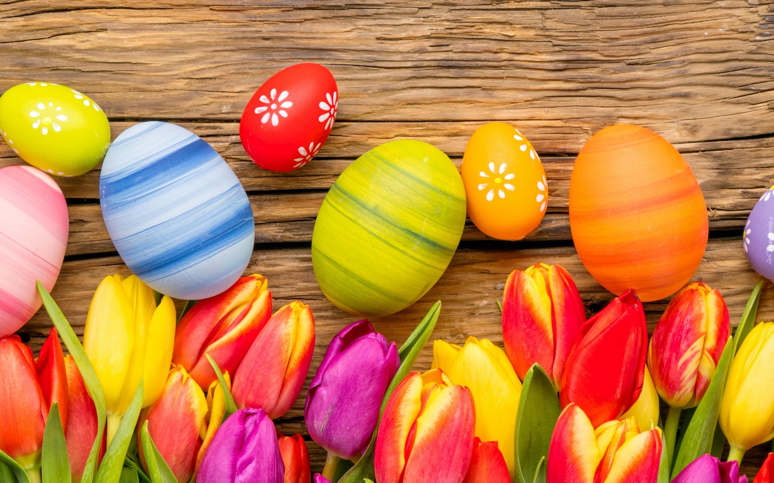 Wielkanoc, Kolorowe, Tulipany, Pisanki, Kompozycja