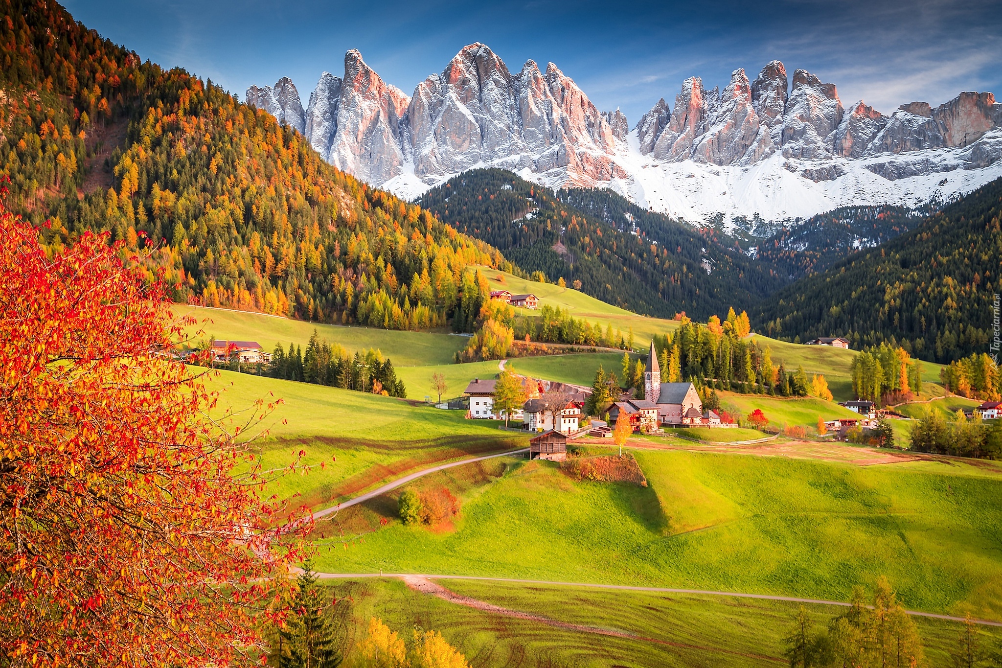 Włochy, Dolomity, Dolina Val di Funes, Wieś Santa Maddalena, Jesień, Góry, Masyw Odle, Lasy, Drzewa, Domy, Kościół