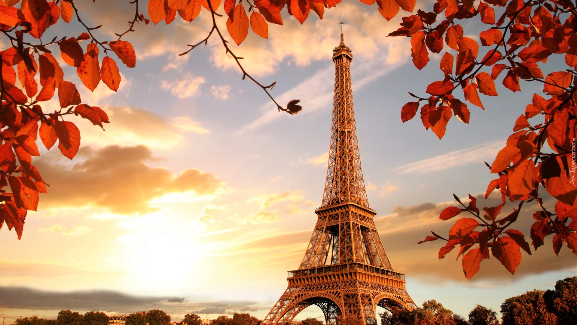 Jesień, Wieża Eiffla, Gałązki, Liście, Paryż, Francja