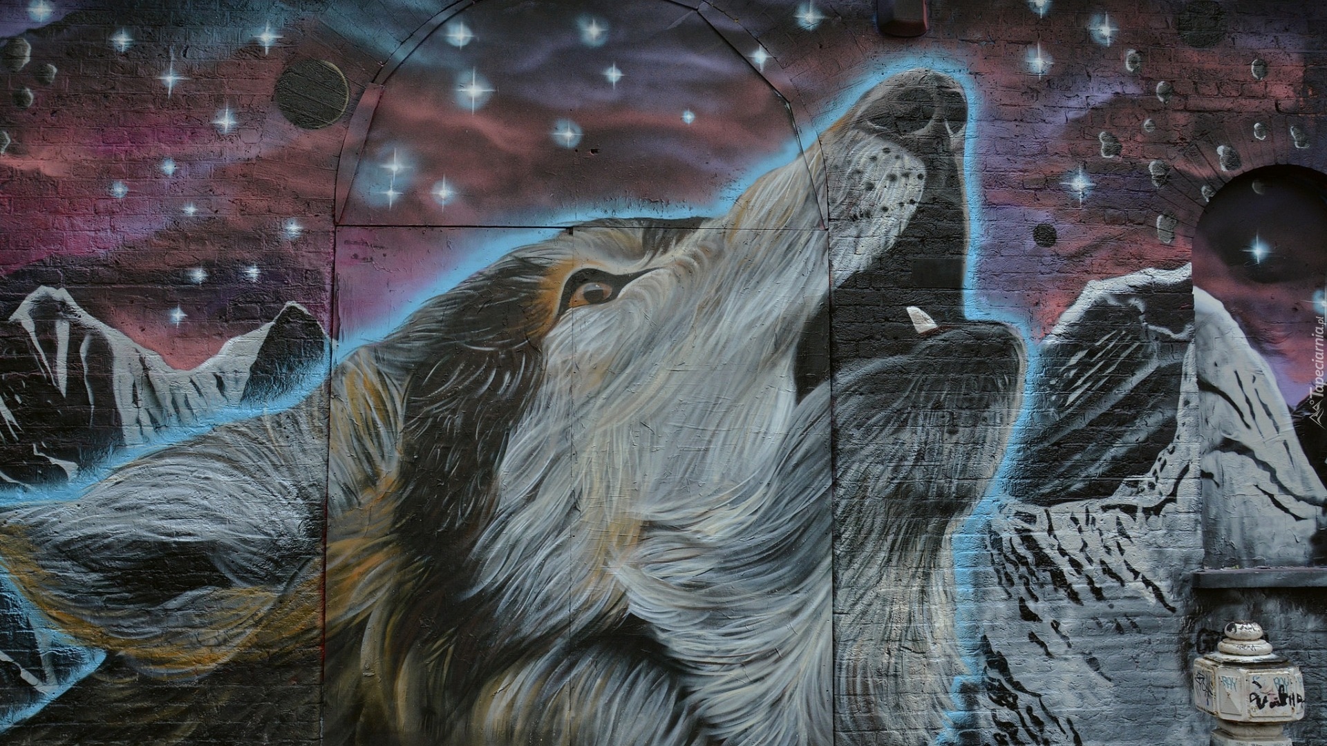 Wilk, Mural, Street art