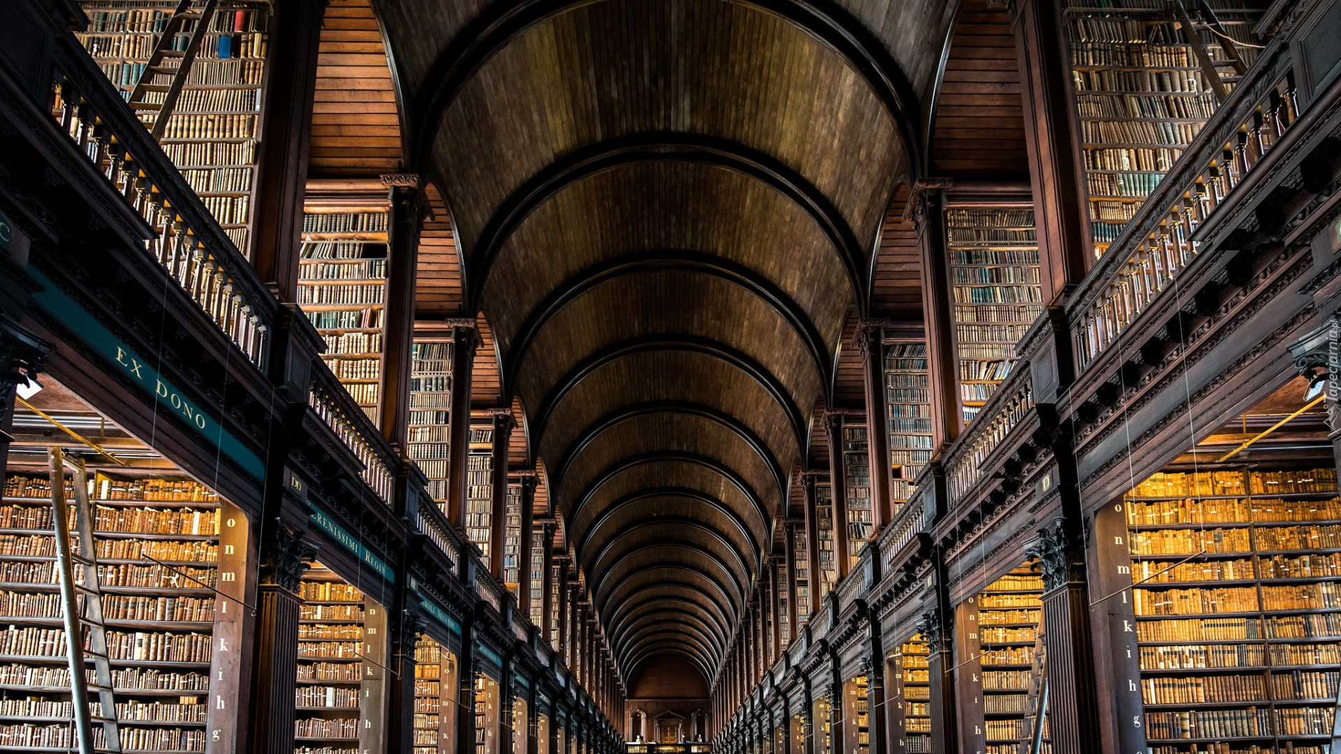Biblioteka Trinity College, Wnętrze, Książki, Dublin, Irlandia