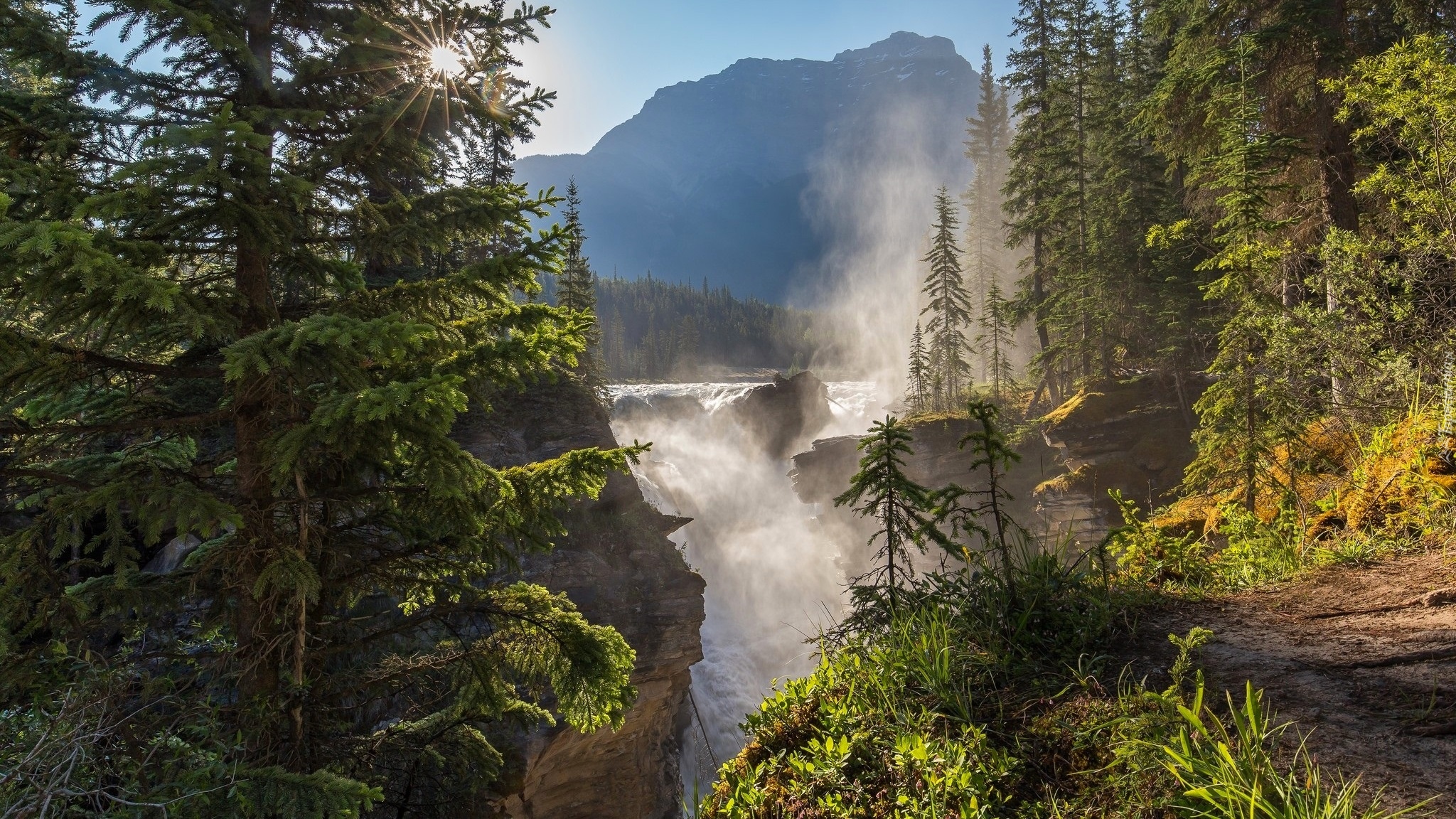 Kanada, Park Narodowy Jasper, Wodospad Athabasca Falls, Góry, Rzeka, Mgła, Świerki, Słońce