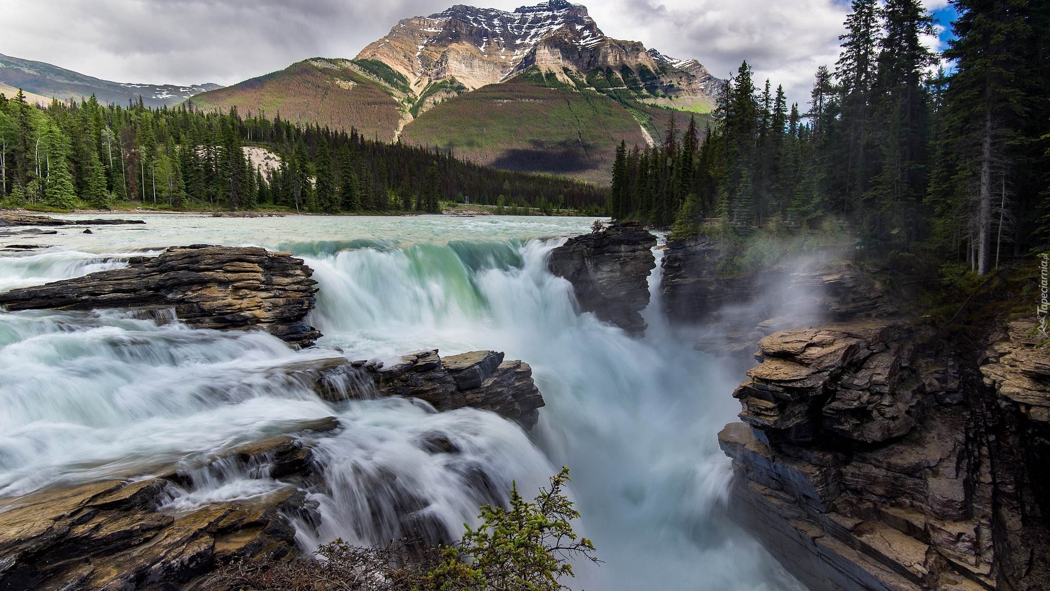 Góry, Park Narodowy Jasper, Wodospad Athabasca, Rzeka Athabasca, Skały, Drzewa, Prowincja Alberta, Kanada