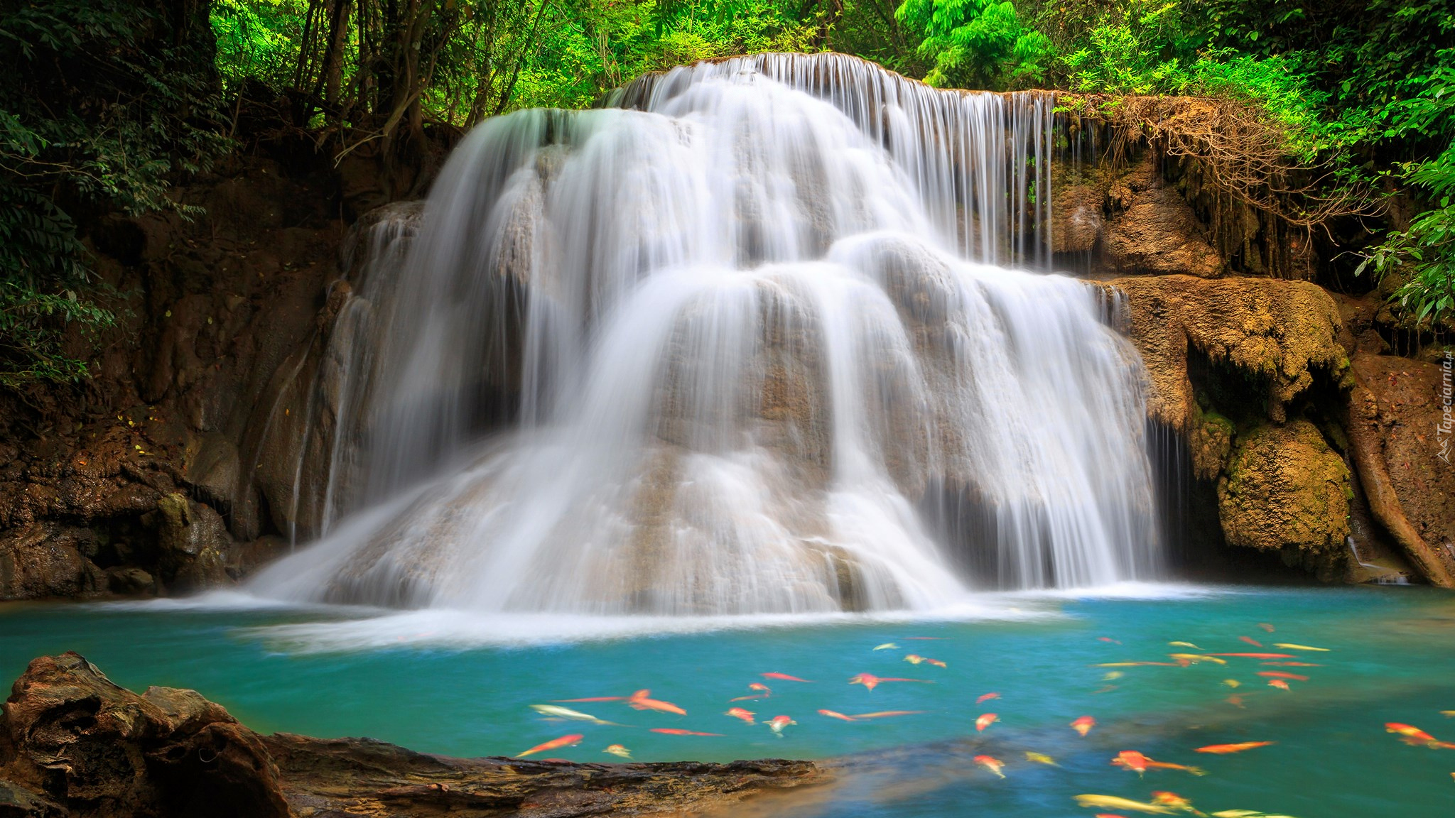 Wodospad, Huai Mae Khamin Waterfall, Rzeka, Ryby, Skały, Kanchanaburi, Tajlandia