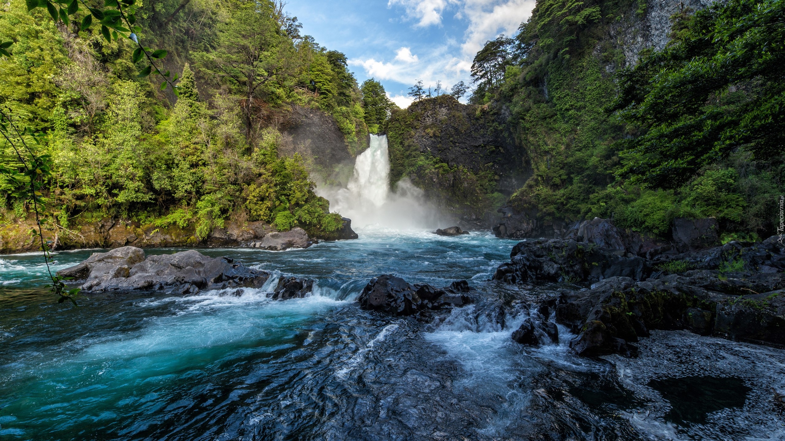 Rzeka, Kamienie, Drzewa, Wodospad Huilo-Huilo Falls, Panguipulli, Chile