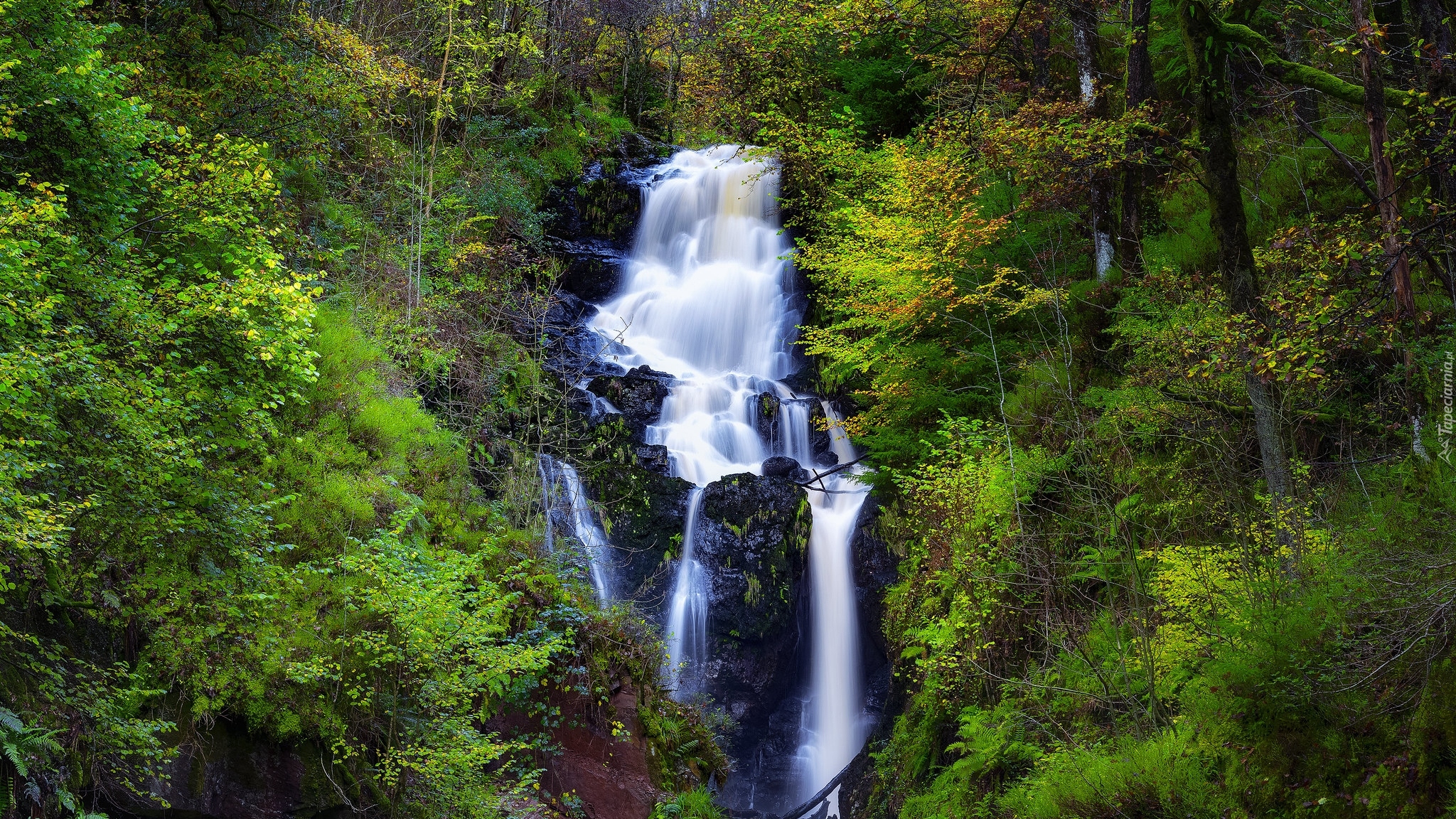 Wodospad, Little Fawn Waterfall, Las, Zarośla, Skały, Park Narodowy Loch Lomond i Trossachs, Szkocja