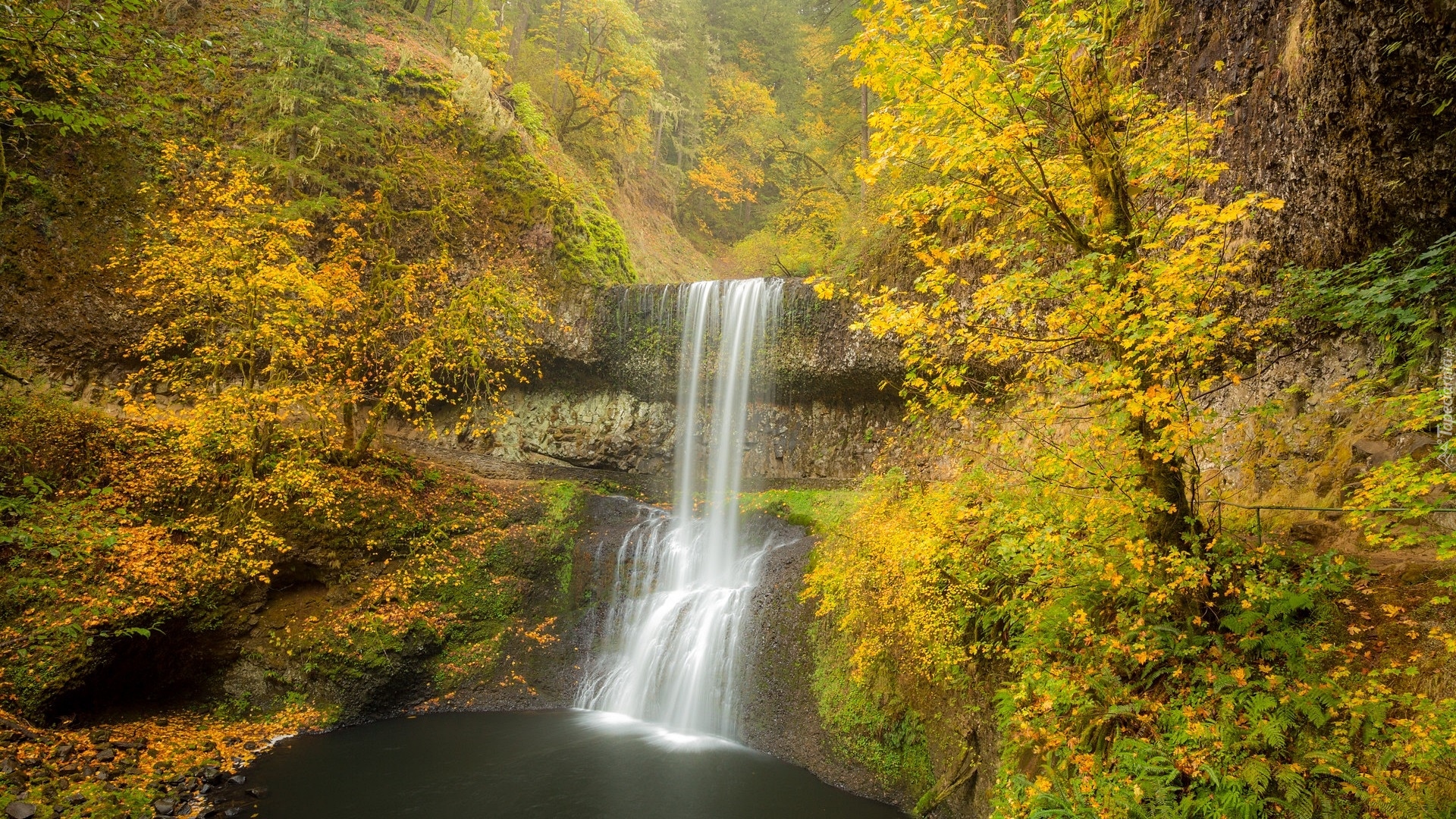 Jesień, Wodospad, Lower South Falls, Żółte, Drzewa, Oregon, Stany Zjednoczone