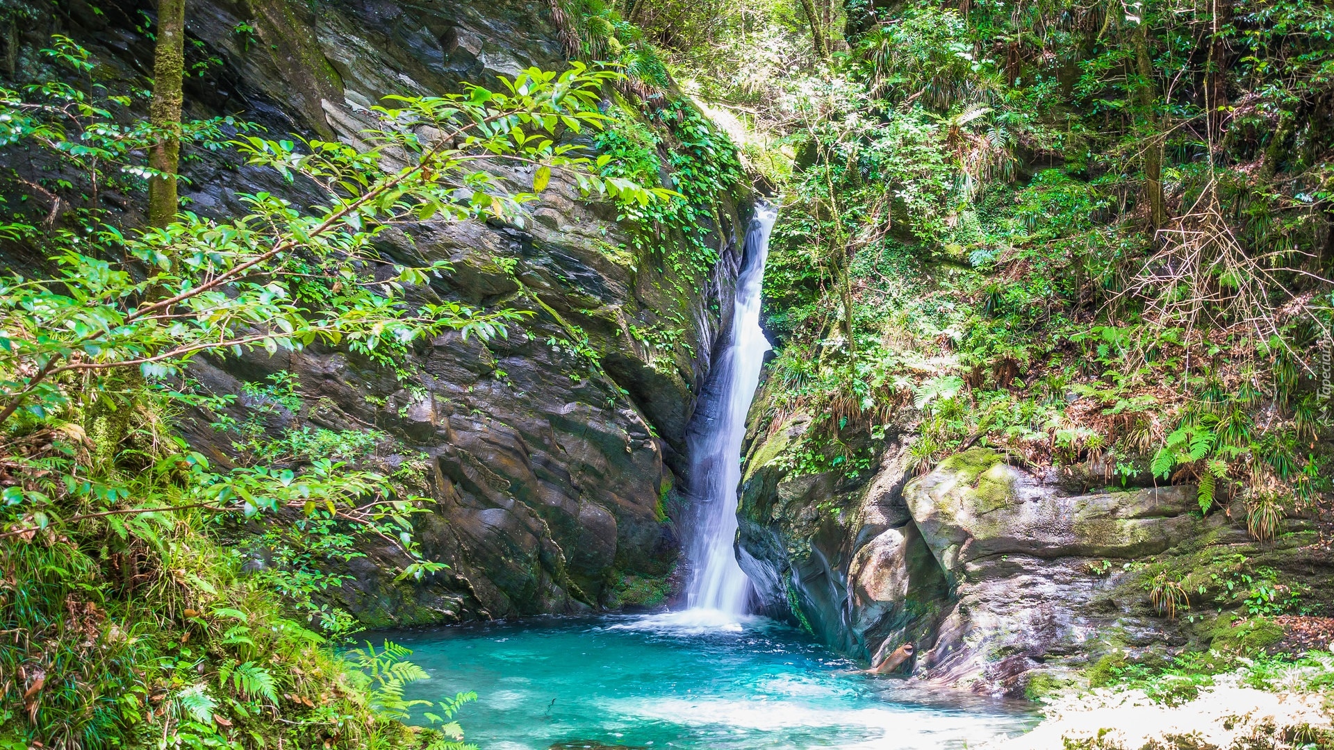 Skały, Wodospad, Mitaru Gongen Waterfall, Rzeka, Rośliny, Prefektura Kochi, Japonia