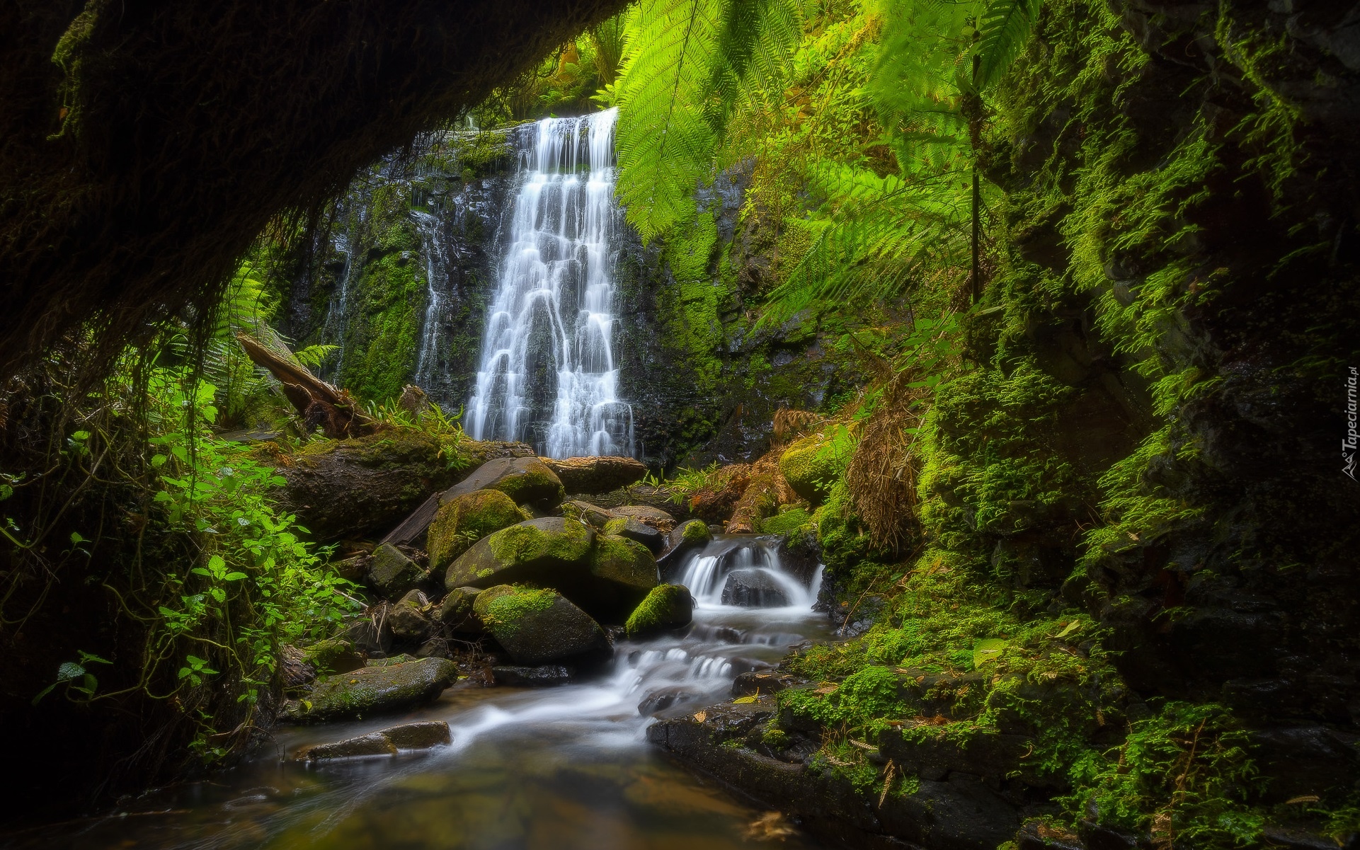 Las, Rzeka, Kamienie, Skały, Wodospad, Monomeith Falls, Drzewa, Roślinność, Wiktoria, Australia