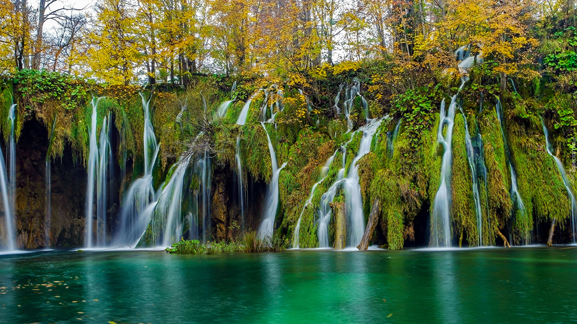 Wodospad, Omszałe, Skały, Drzewa, Jesień, Park Narodowy Jezior Plitwickich, Chorwacja