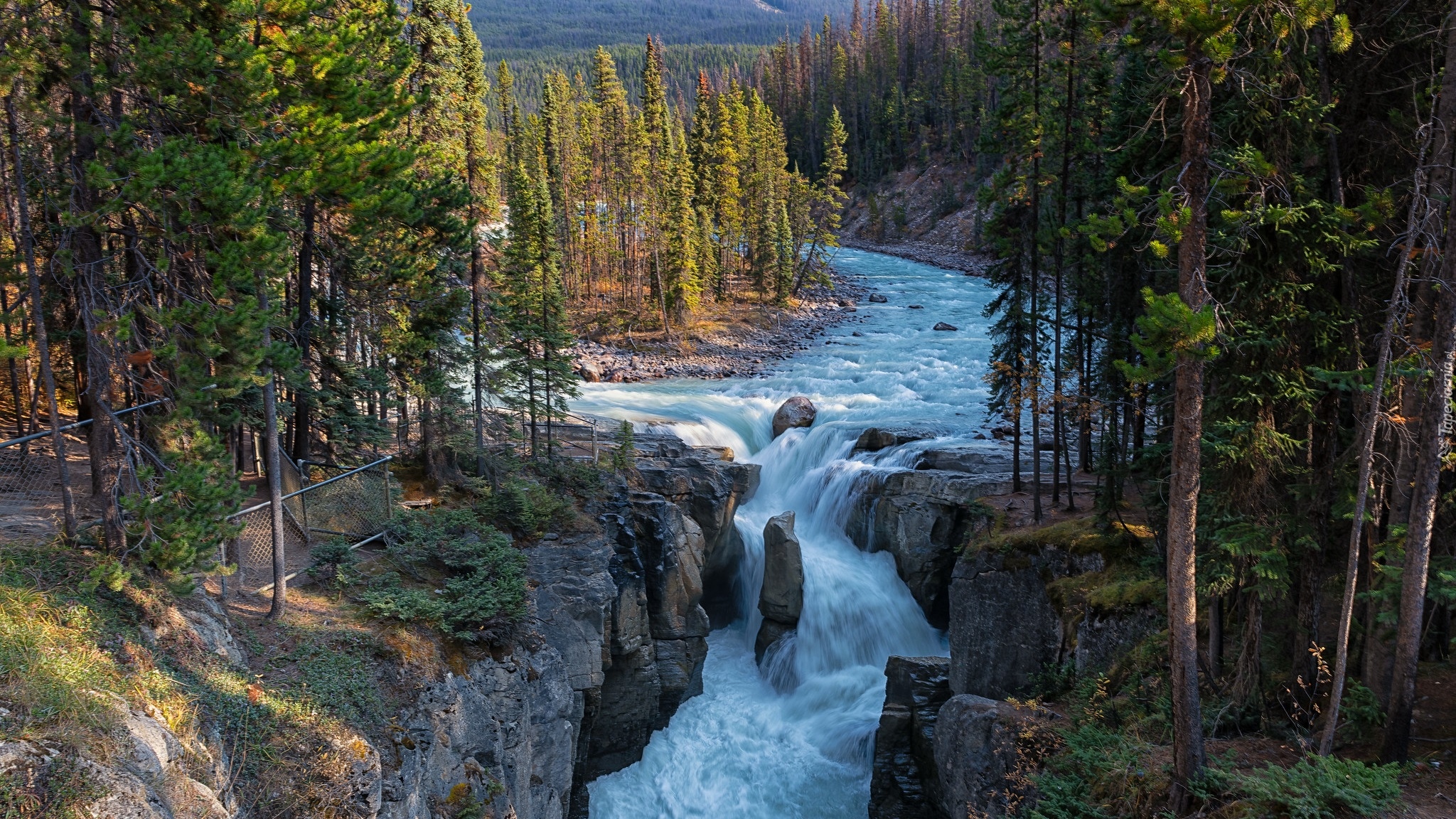 Las, Drzewa, Sosny, Skały, Wodospad, Park Narodowy Jasper, Rzeka, Athabasca, Kanada