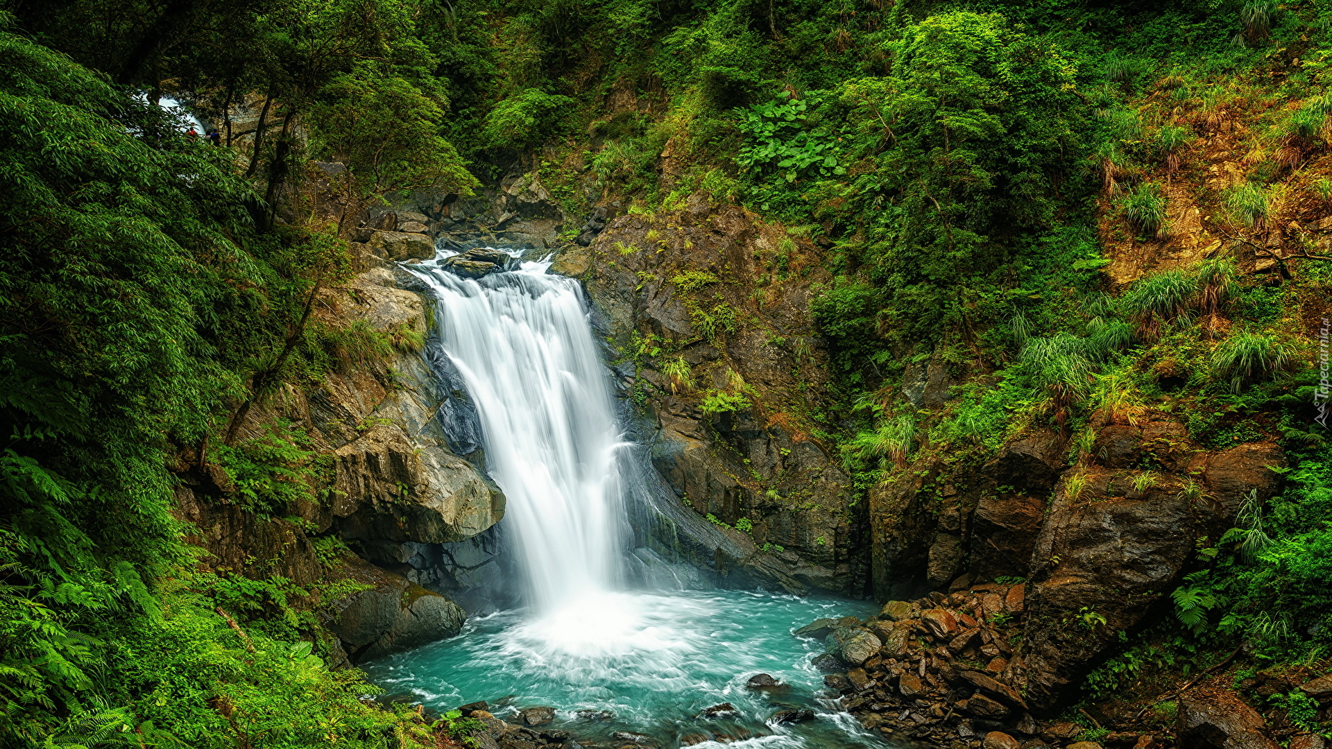 Wodospad Neidong Falls, Omszałe, Skały, Krzewy, Drzewa, Roślinność, Dzielnica Wulai, Nowe Tajpej, Tajwan