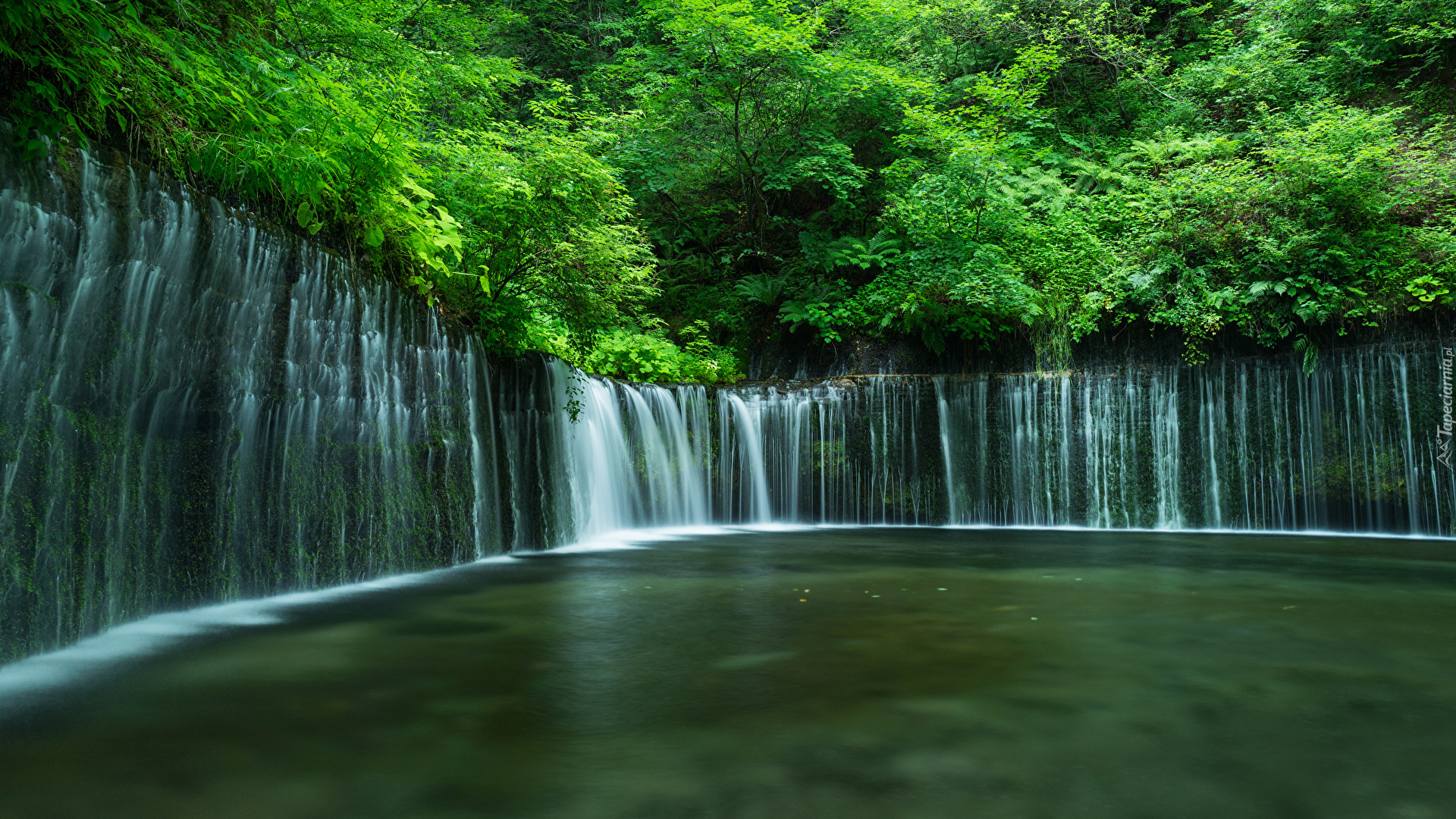Japonia, Wodospad Shiraito Falls, Park Narodowy Fudżi Hakone Izu, Skały, Drzewa