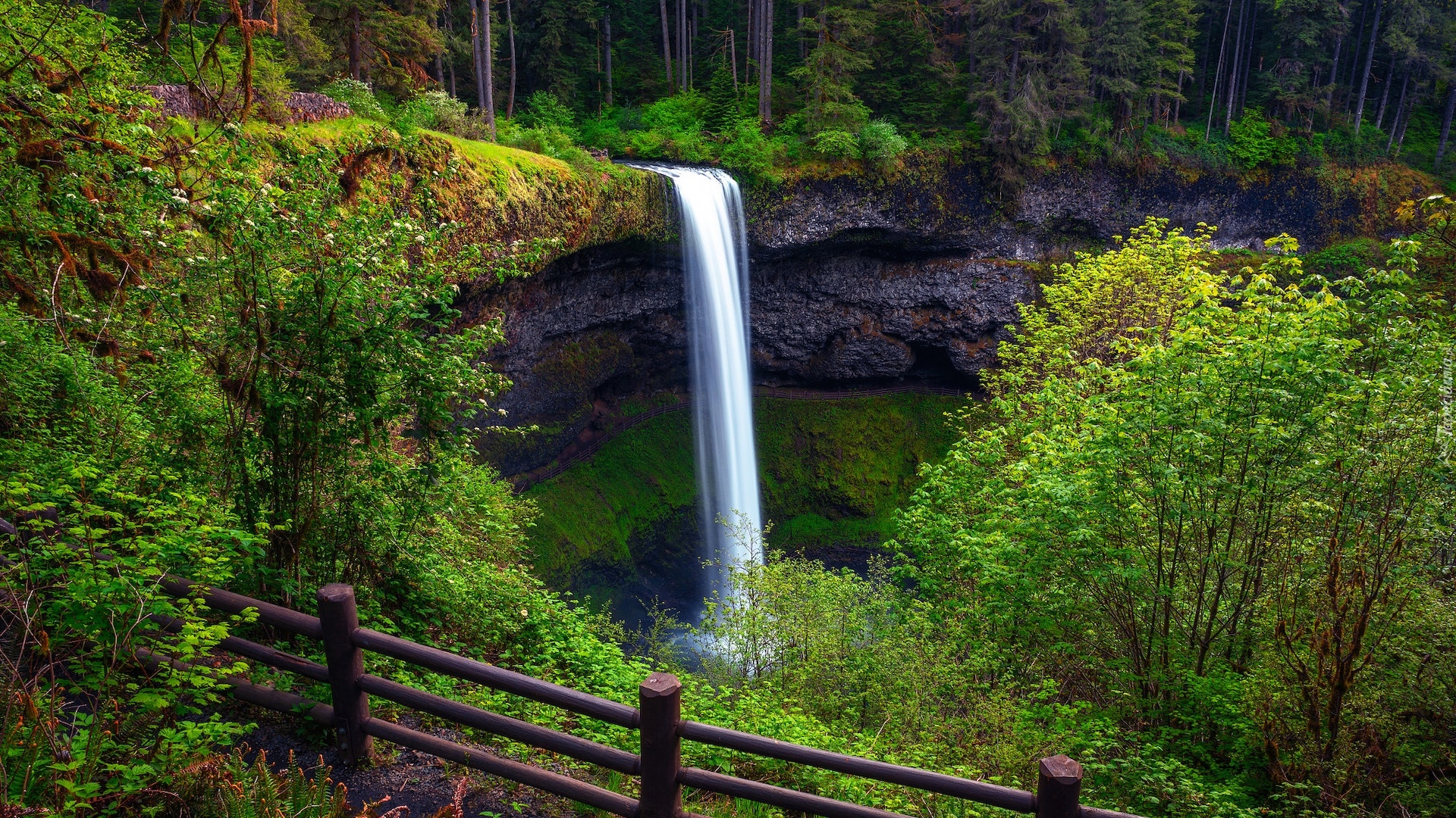 Wodospad, South Falls, Skały, Drzewa, Ogrodzenie, Park stanowy Silver Falls, Stan Oregon, Stany Zjednoczone